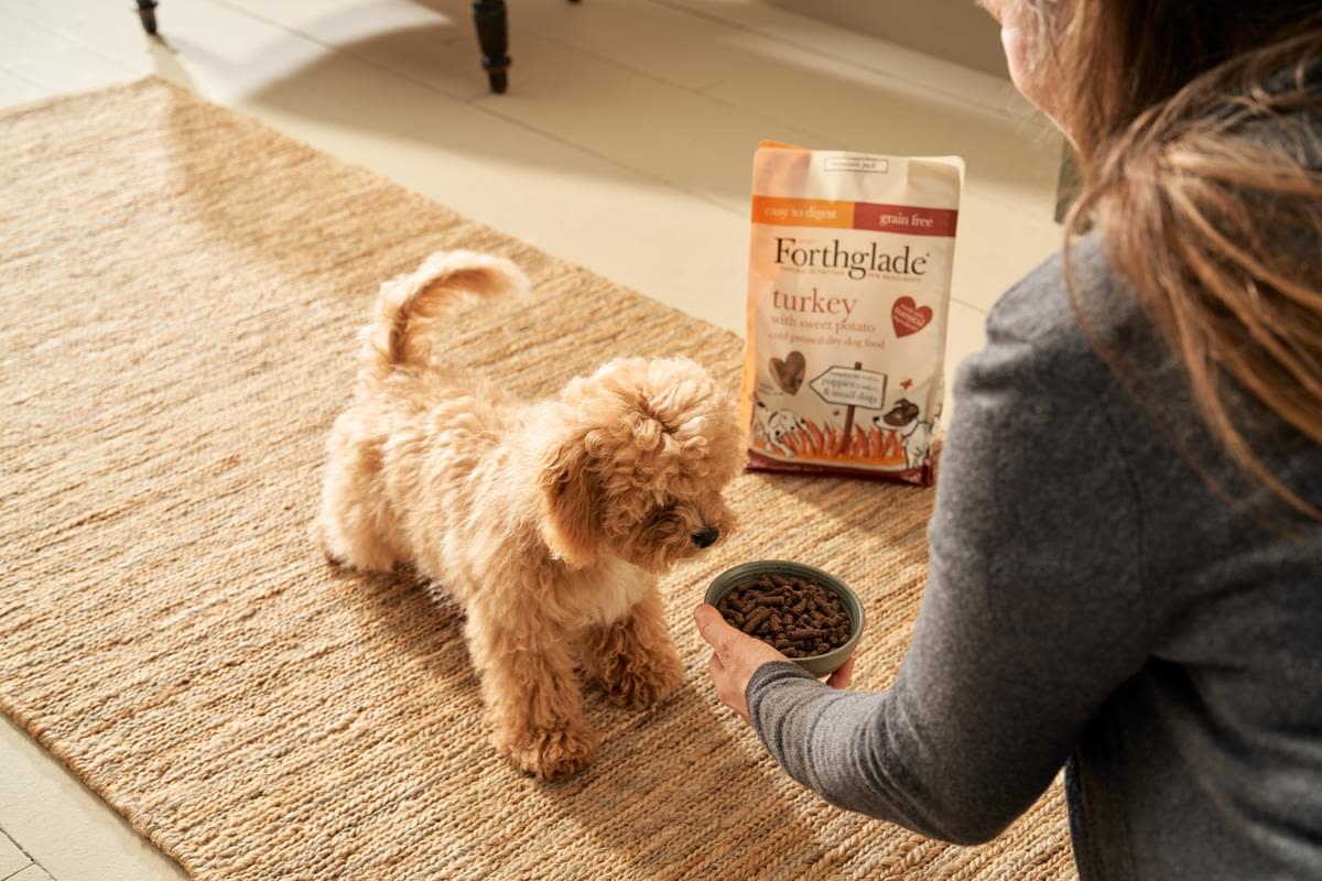 ForthgladeĀ Complete Natural Cold Pressed Small Dry Dog Food - Turkey with Sweet Potato - Image 9