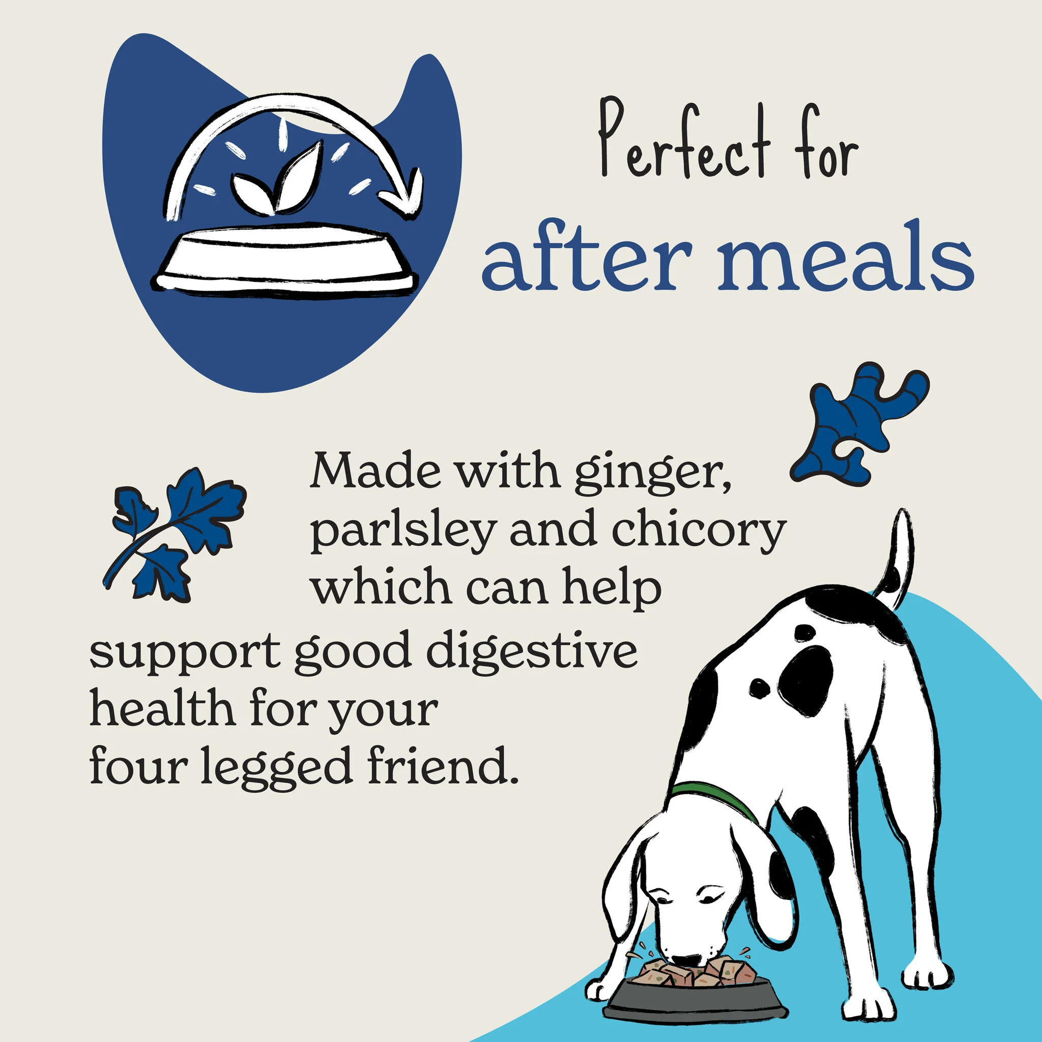 Forthglade Functional Digestive Health Natural Soft Bites Dog Treats - Ginger, Parsley & Chicory - Image 4