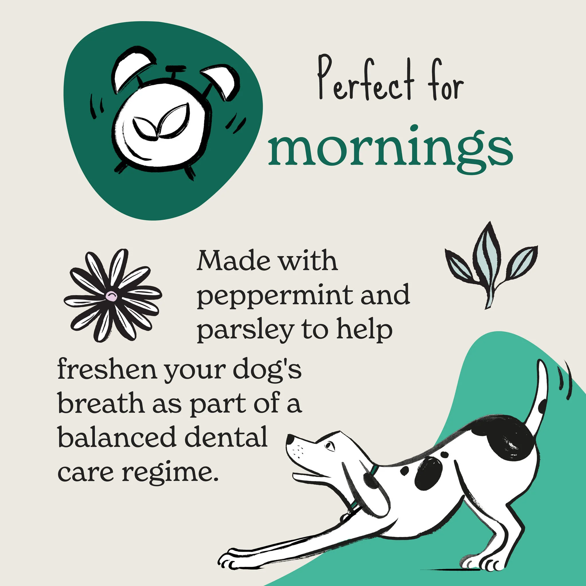 Forthglade Functional Fresh Breath Natural Soft Bites Dog Treats - Peppermint & Parsley - Image 4
