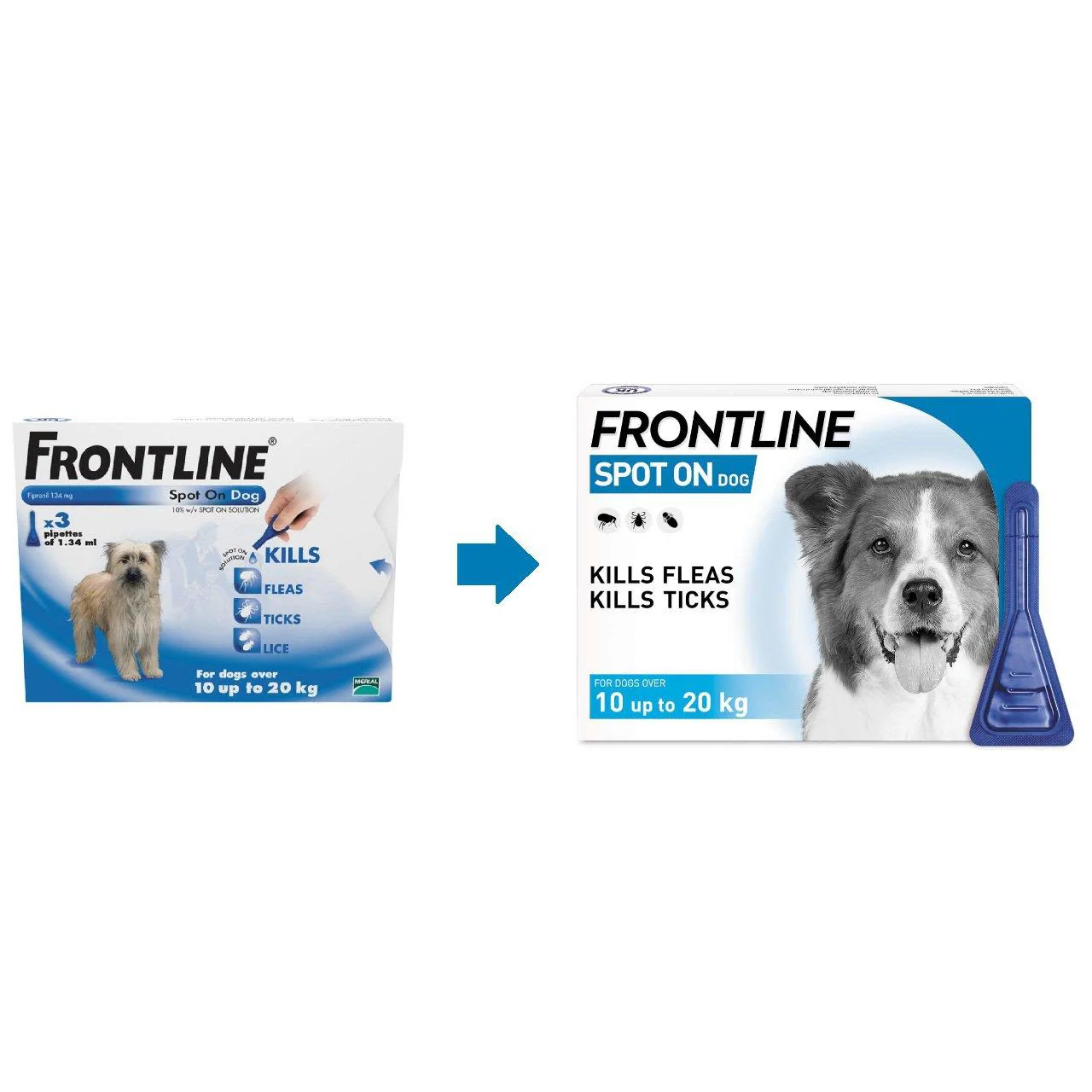 Frontline Spot On Flea & Tick Treatment for Medium Dogs (10-20kg) - Image 3