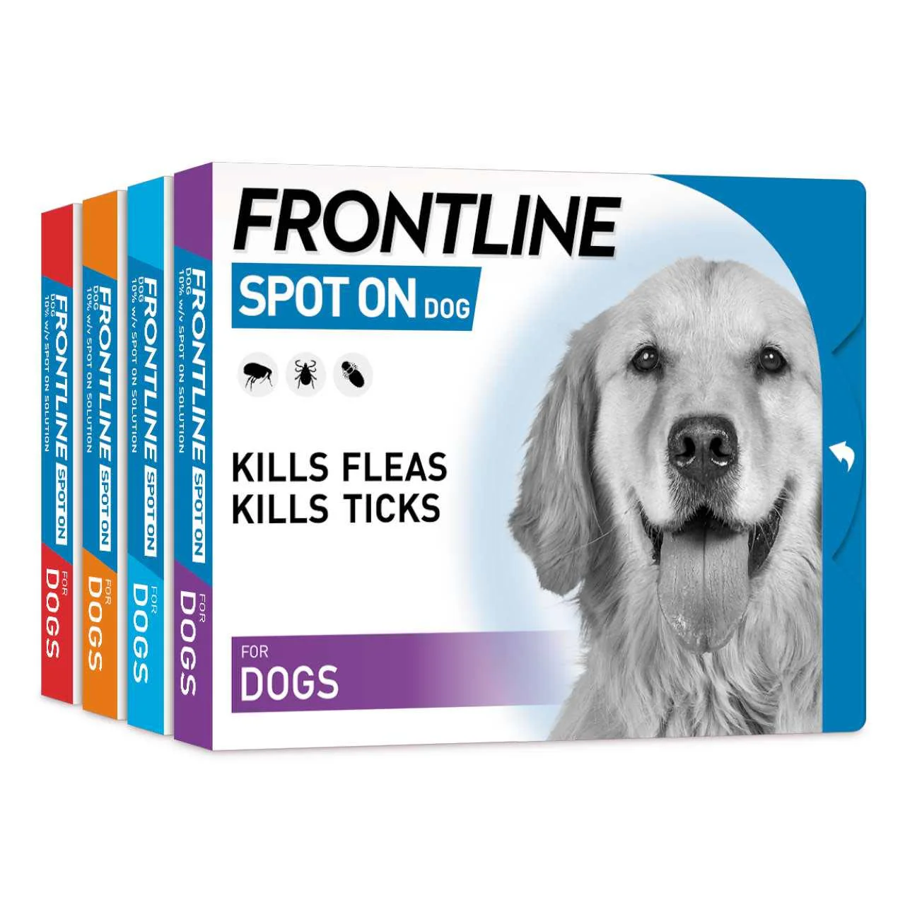 Frontline Spot On Flea & Tick Treatment for Medium Dogs (10-20kg) - Image 5