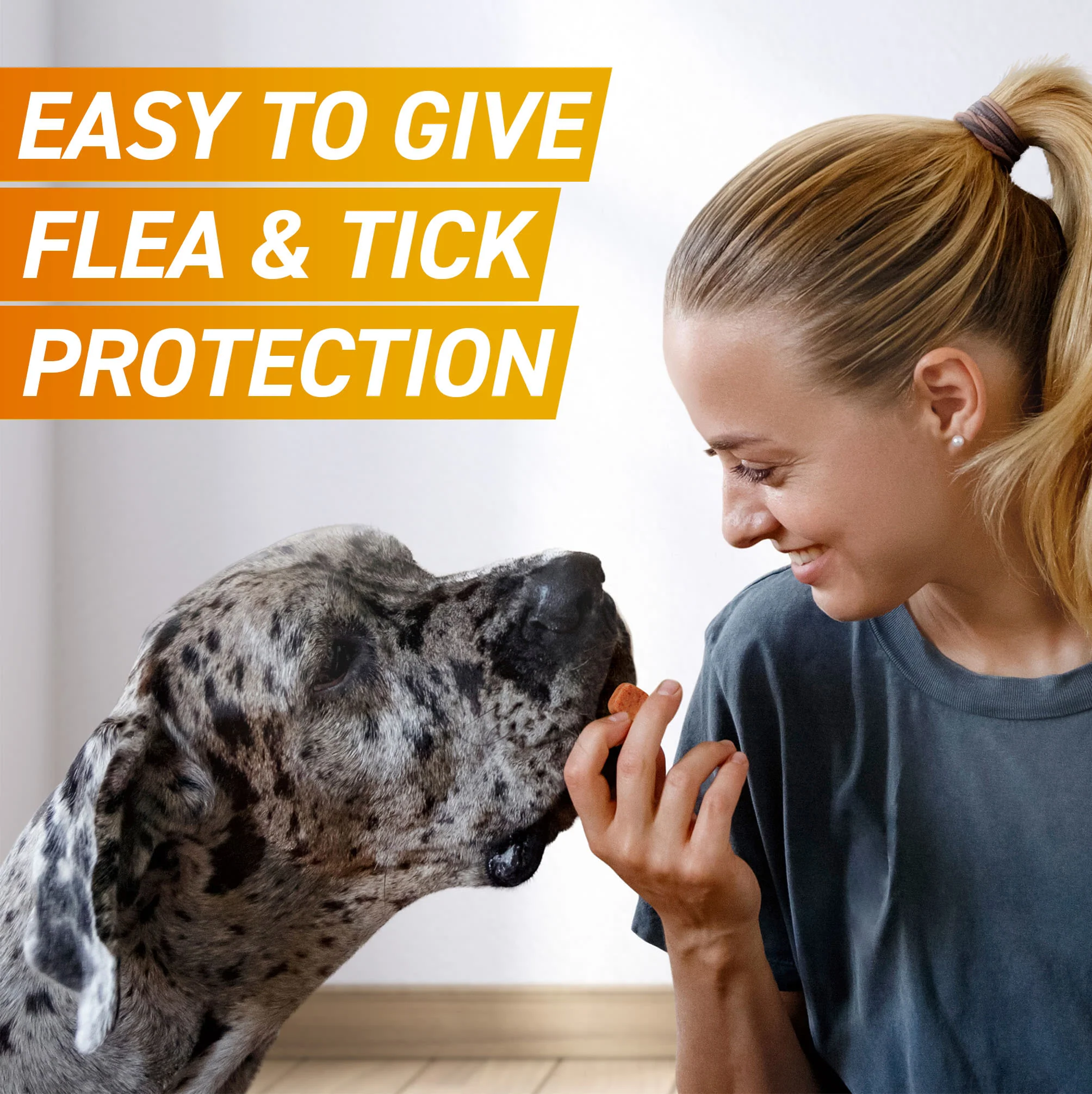 Frontpro Chewable Tablets Flea & Tick Treatment for Dogs - Large (>10-25kg) - Image 3