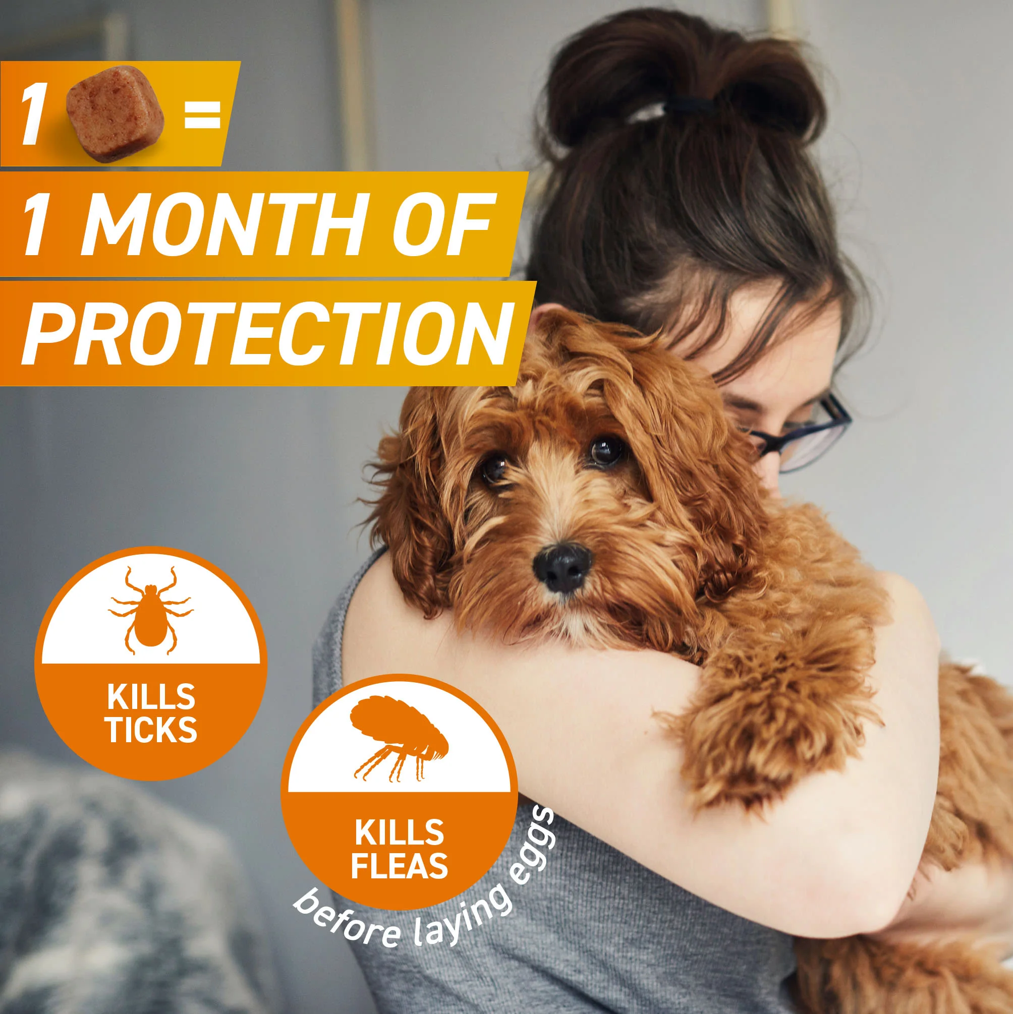 Frontpro Chewable Tablets Flea & Tick Treatment for Dogs - Medium (>4-10kg) - Image 2