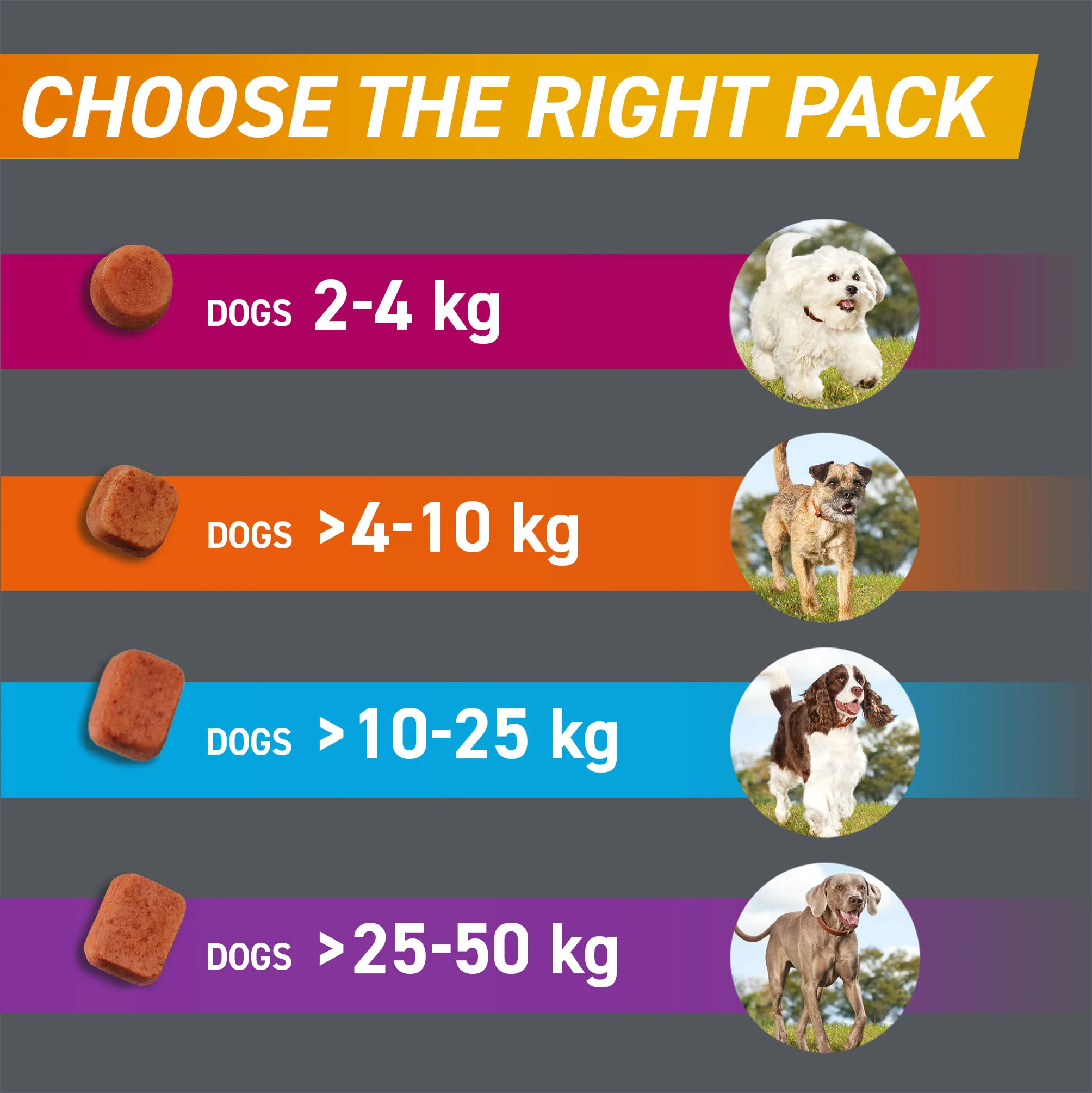 Frontpro Chewable Tablets Flea & Tick Treatment for Dogs - Small (2-4kg) - Image 6