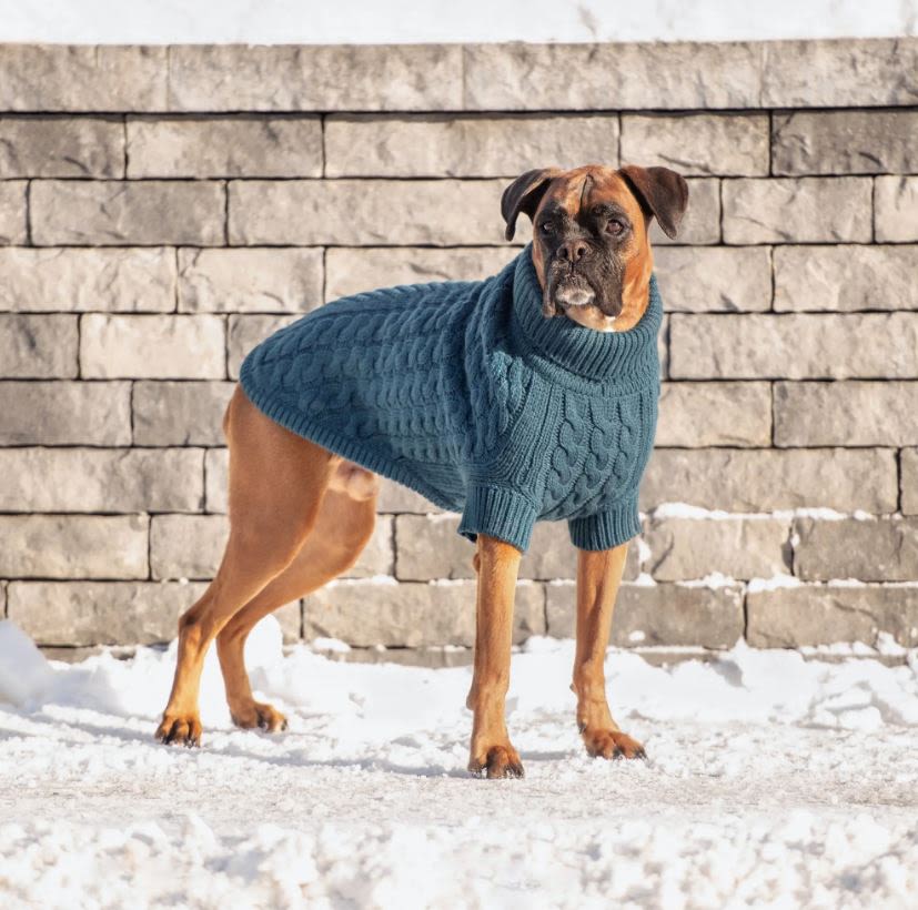 GF Pet Chalet Dark Teal Dog Sweater - Image 4