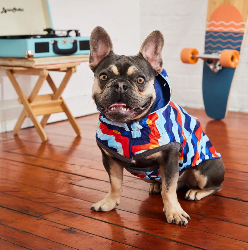 GF Pet Elasto-Fit Reversible Navy Retro Dog Raincoat - Image 3