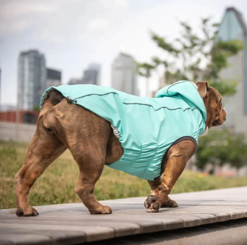 GF Pet Elasto-Fit Reversible Neon Aqua Iridescent Dog Raincoat - Image 3