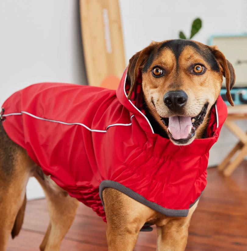 GF Pet Elasto-Fit Reversible Red Abstract Dog Raincoat - Image 3