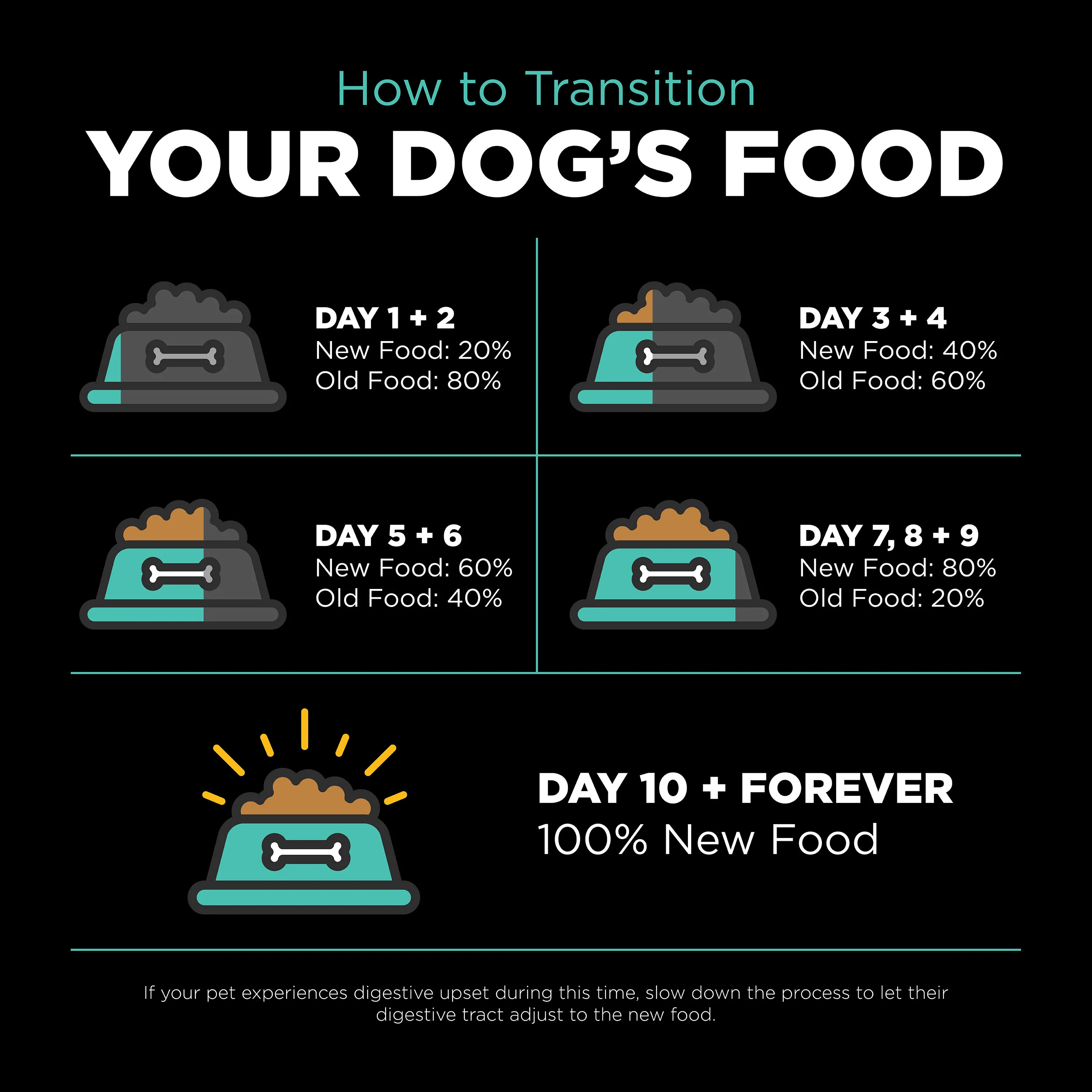 Go! Solutions Carnivore Grain Free Chicken, Turkey + Duck Adult Recipe Dry Dog Food - Image 3