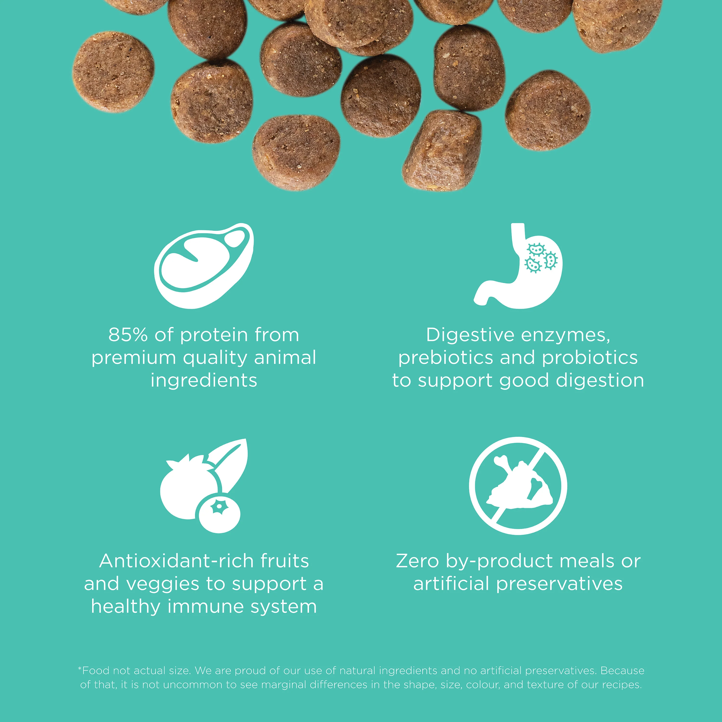 Go! Solutions Carnivore Grain Free Chicken, Turkey + Duck Adult Recipe Dry Dog Food - Image 5