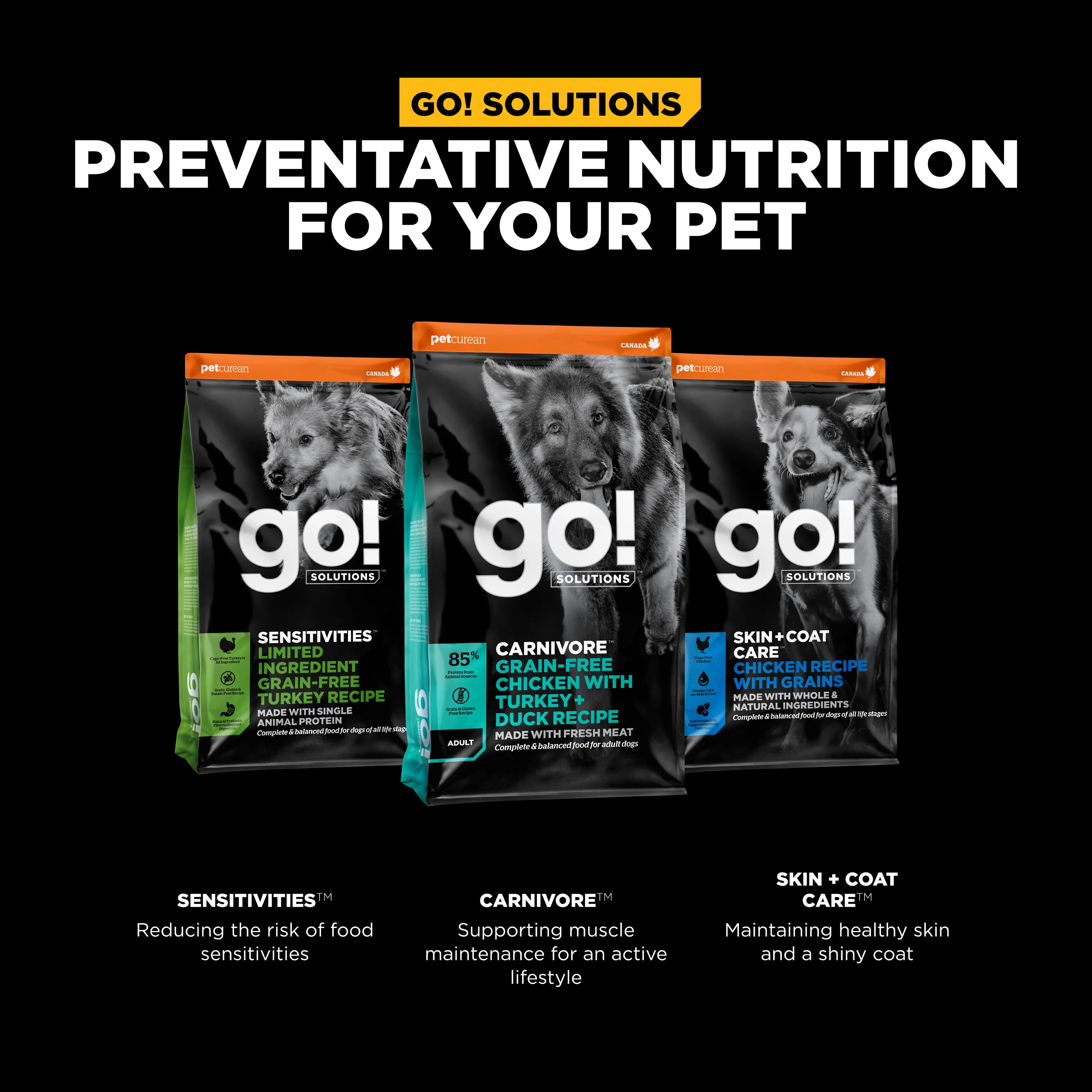 Go! Solutions Carnivore Grain Free Chicken, Turkey + Duck Adult Recipe Dry Dog Food - Image 9