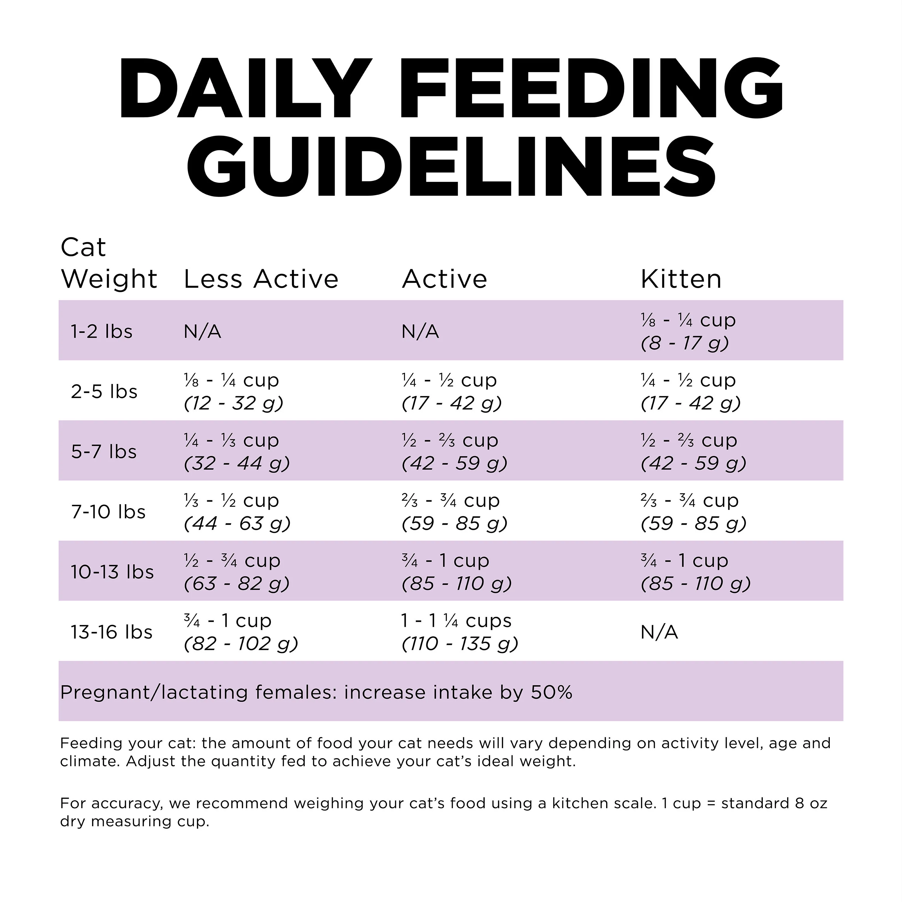 Go! Solutions Carnivore Grain Free Chicken, Turkey + Duck Recipe Dry Cat Food - Image 2