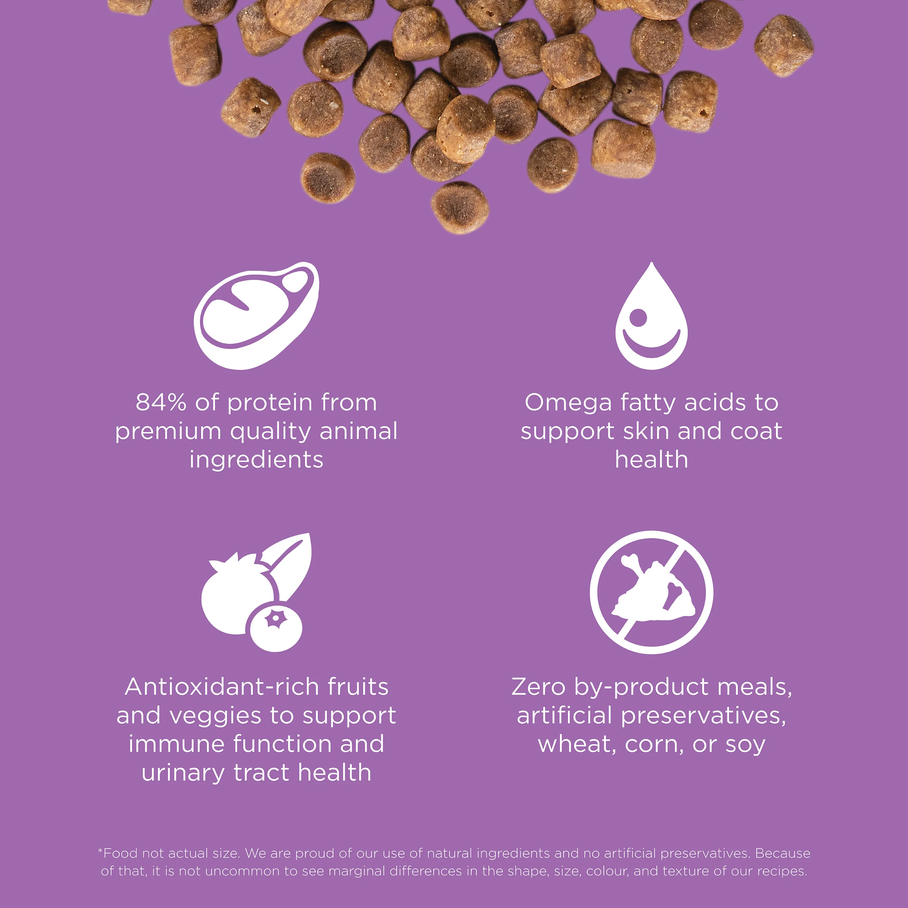 Go! Solutions Carnivore Grain Free Chicken, Turkey + Duck Recipe Dry Cat Food - Image 5