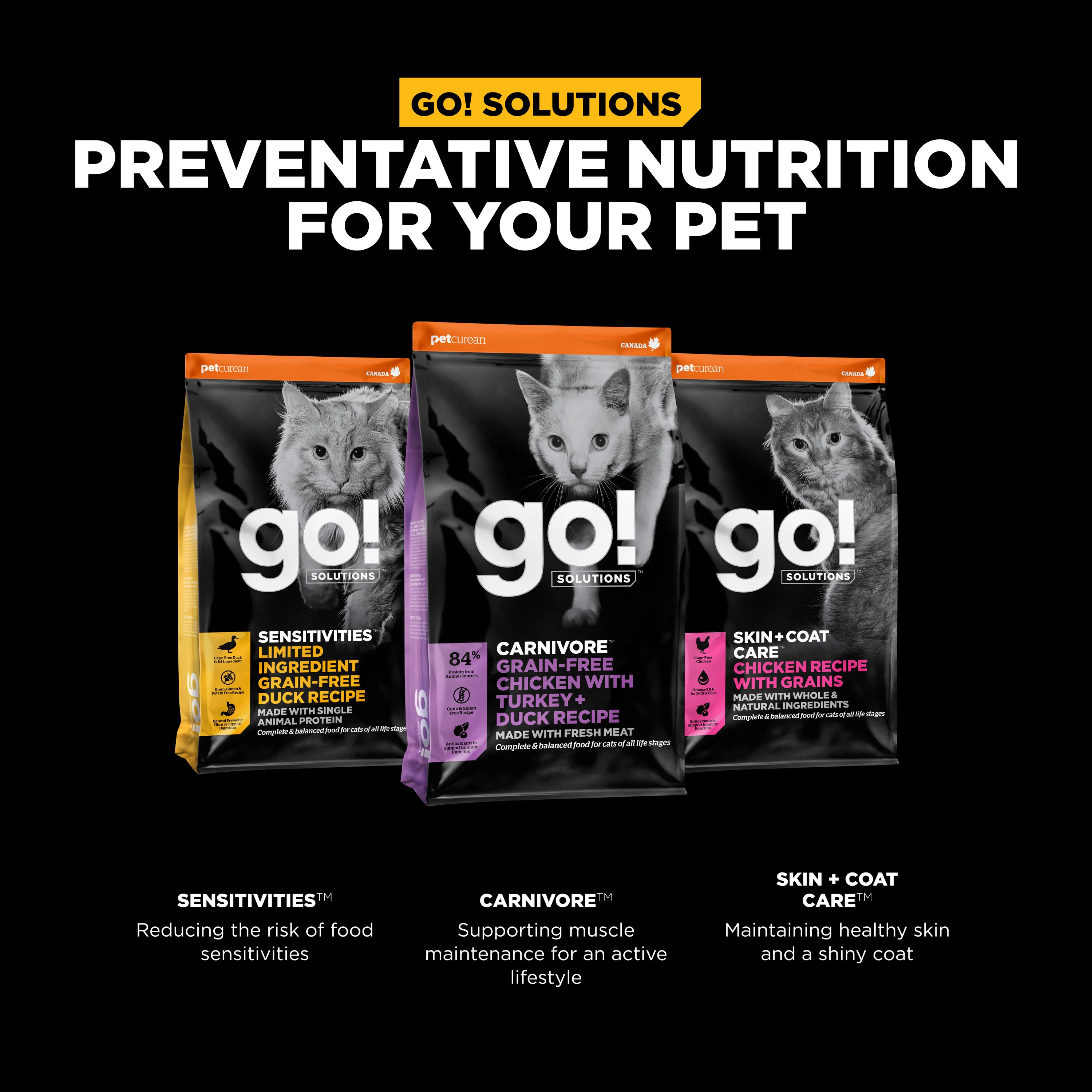 Go! Solutions Carnivore Grain Free Chicken, Turkey + Duck Recipe Dry Cat Food - Image 9