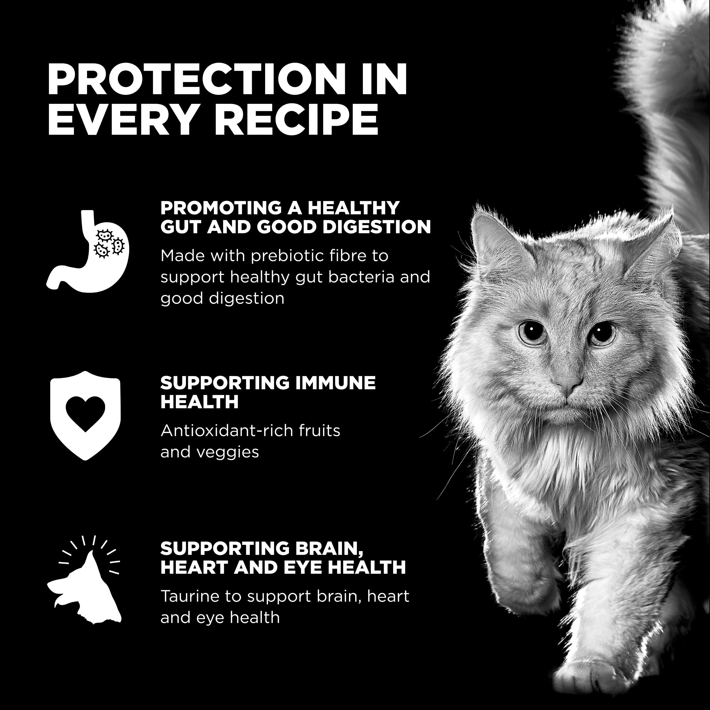 Go! Solutions Sensitivities Limited Ingredient Grain Free Duck recipe Dry Cat Food - Image 3