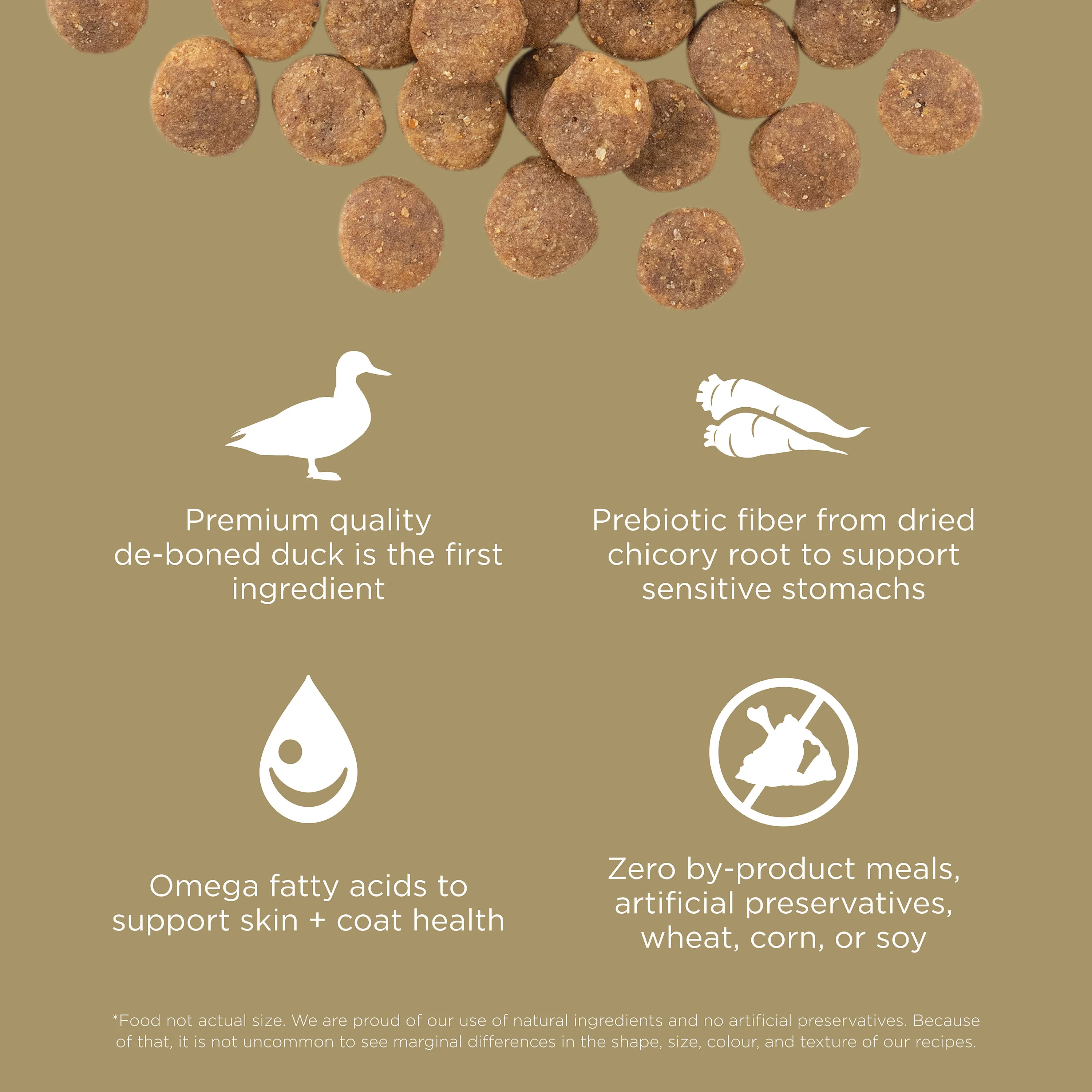 Go! Solutions Sensitivities Limited Ingredient Grain Free Duck recipe Dry Dog Food - Image 6