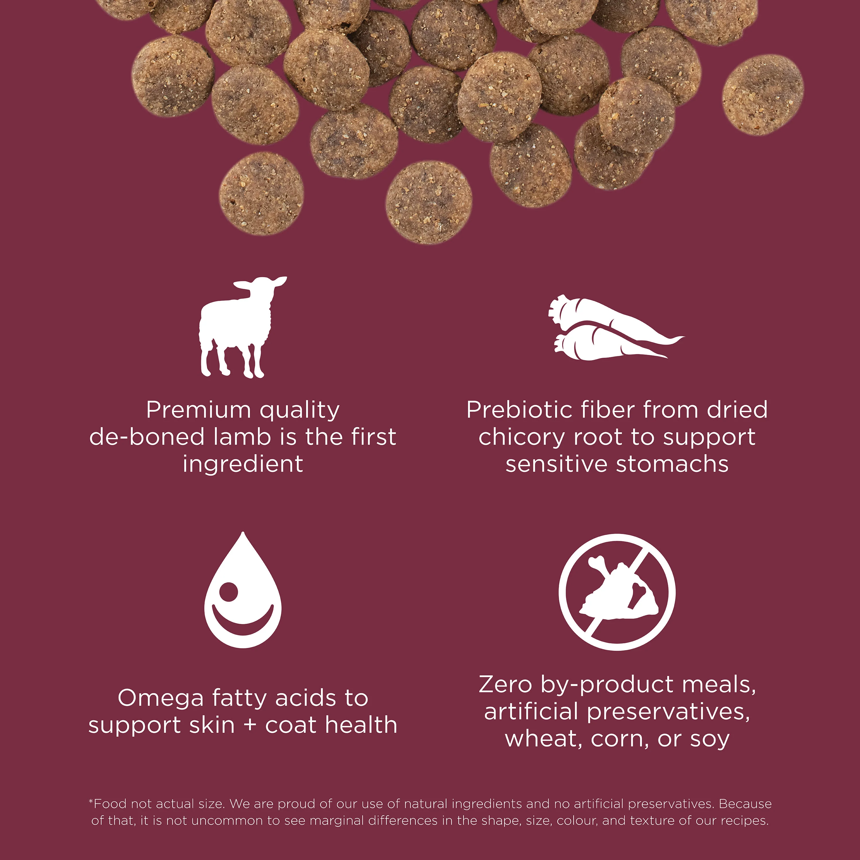 Go! Solutions Sensitivities Limited Ingredient Grain Free Lamb recipe Dry Dog Food - Image 6