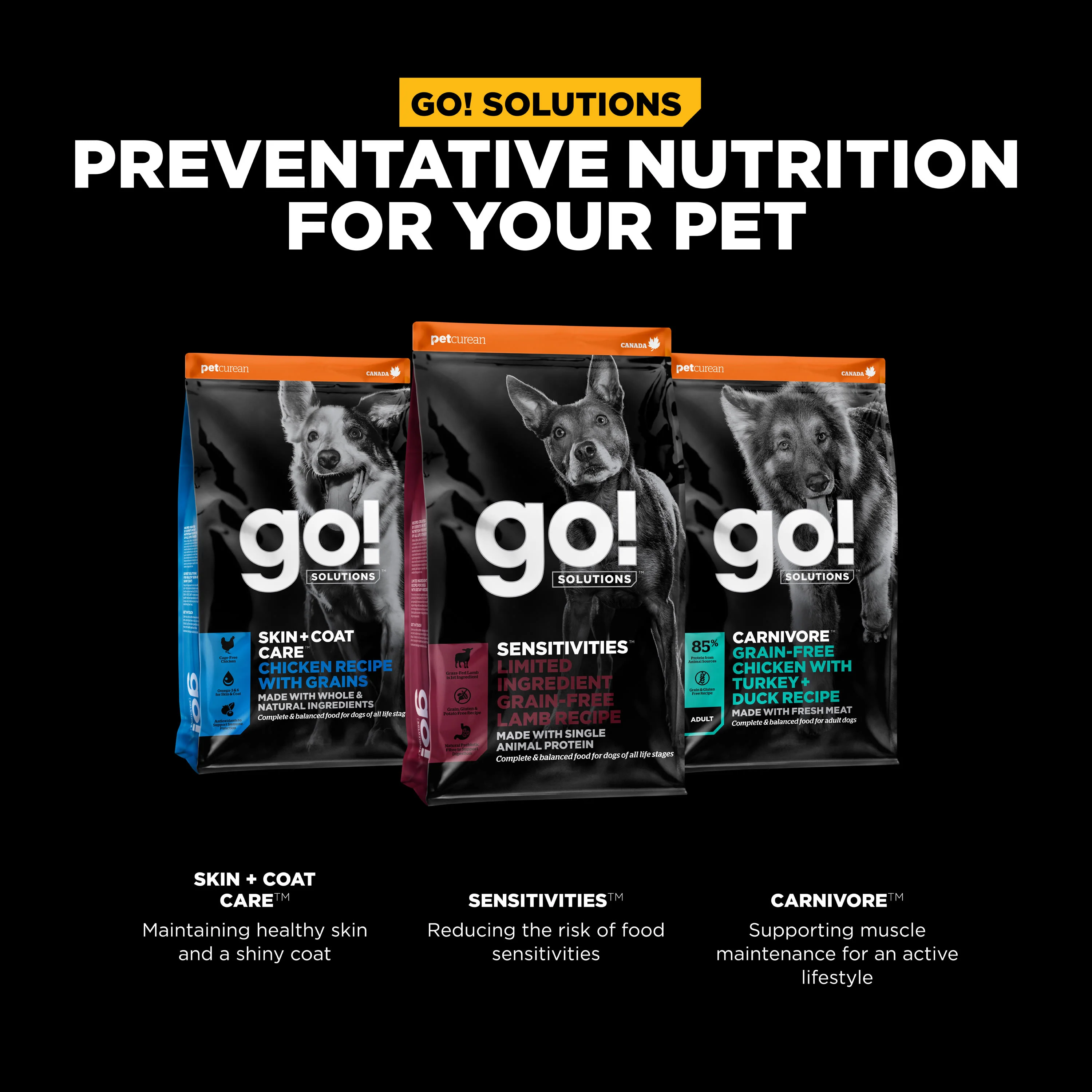 Go! Solutions Sensitivities Limited Ingredient Grain Free Lamb recipe Dry Dog Food - Image 9