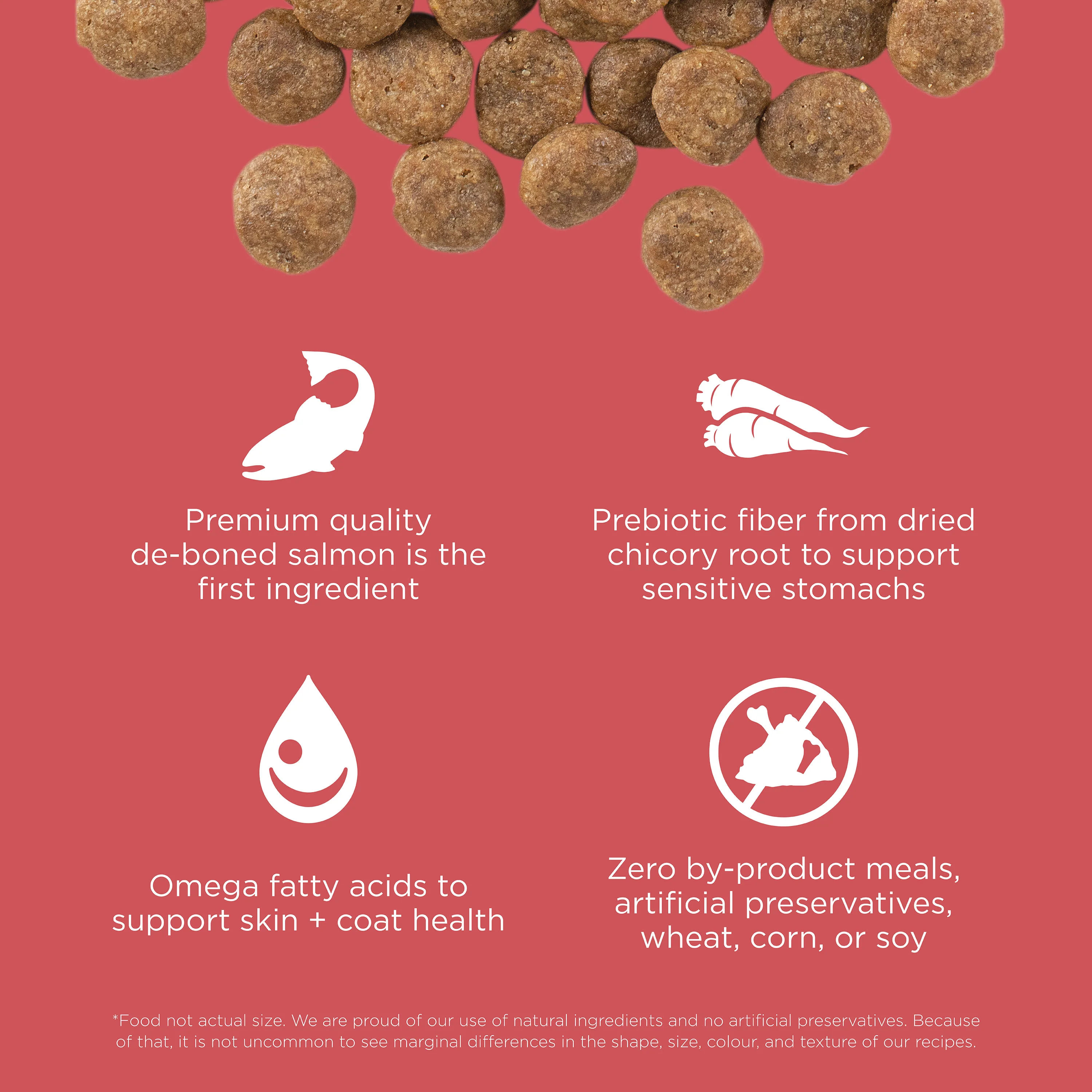 Go! Solutions Sensitivities Limited Ingredient Grain FreeĀ Salmon recipe Dry Dog Food - Image 6