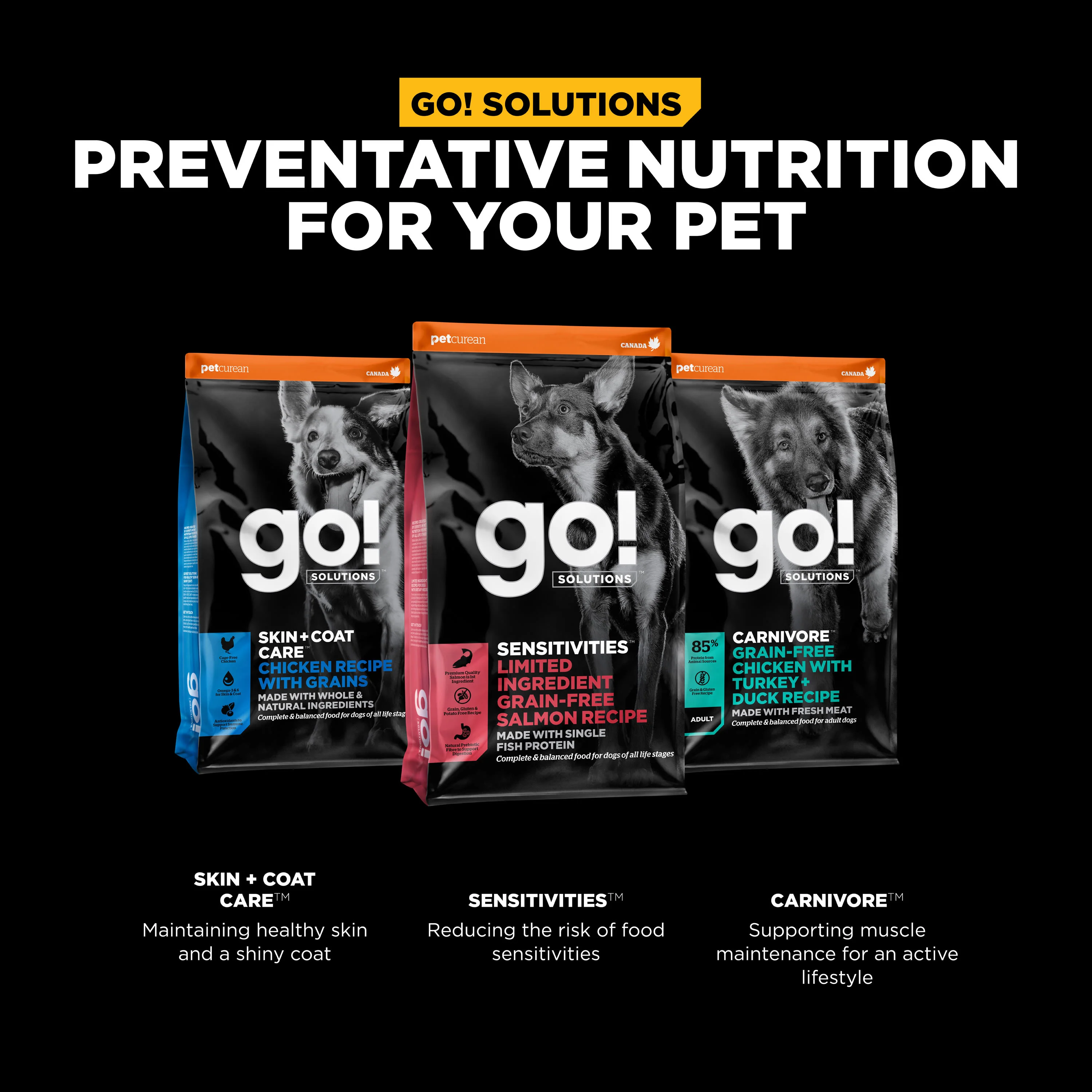 Go! Solutions Sensitivities Limited Ingredient Grain FreeĀ Salmon recipe Dry Dog Food - Image 9