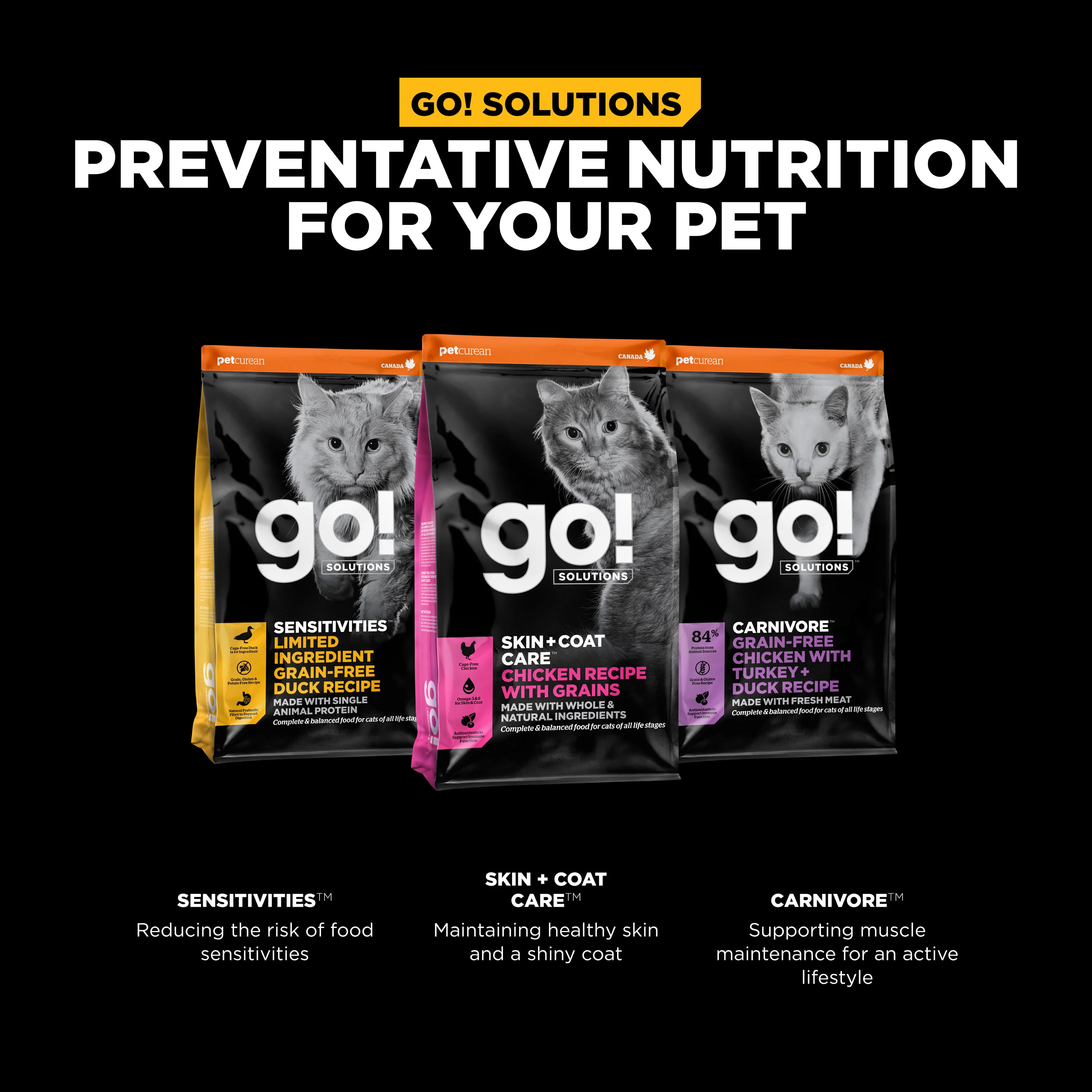 Go! Solutions Skin + Coat Care Chicken Recipe with Grains Dry Cat Food - Image 10
