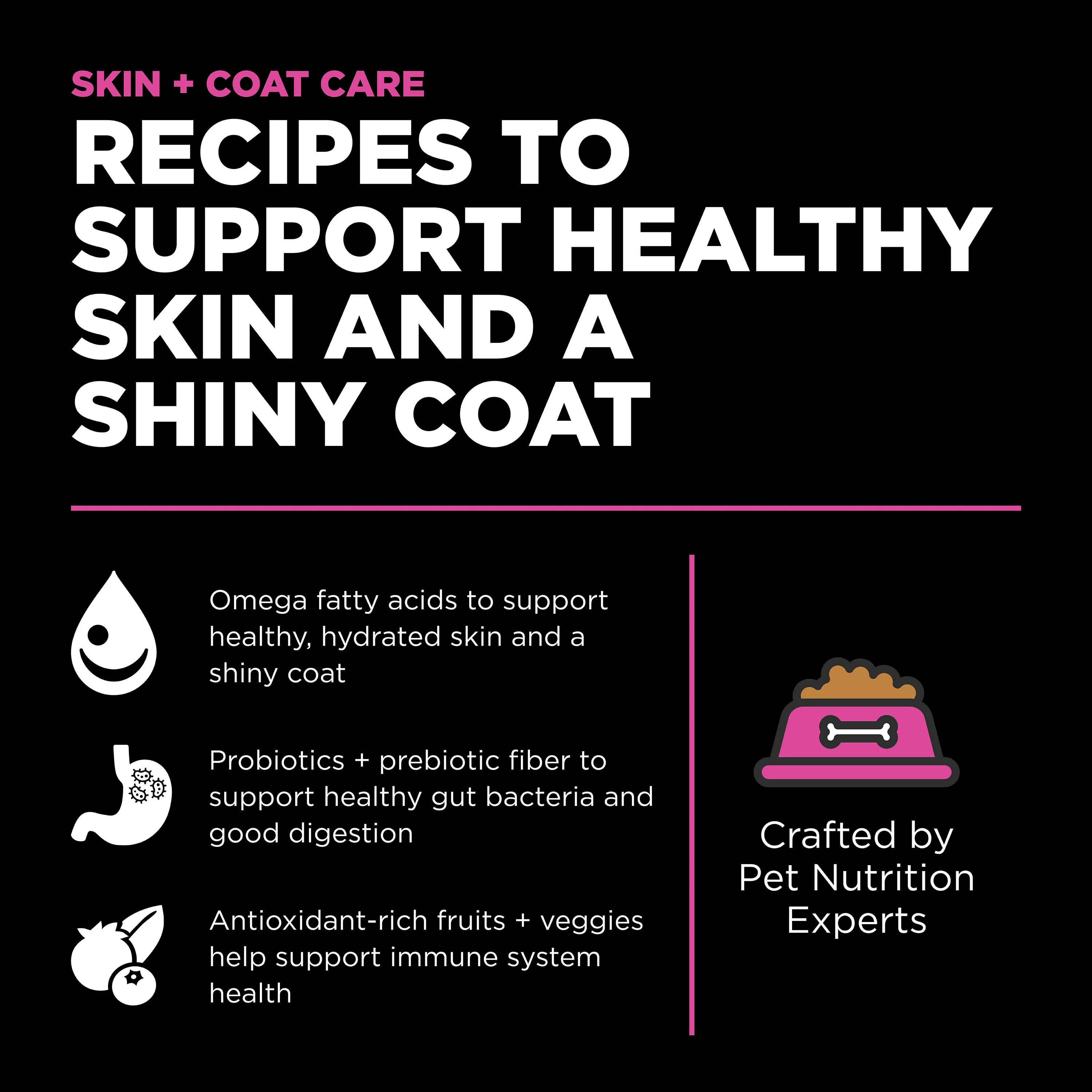 Go! Solutions Skin + Coat Care Chicken Recipe with Grains Dry Cat Food - Image 4