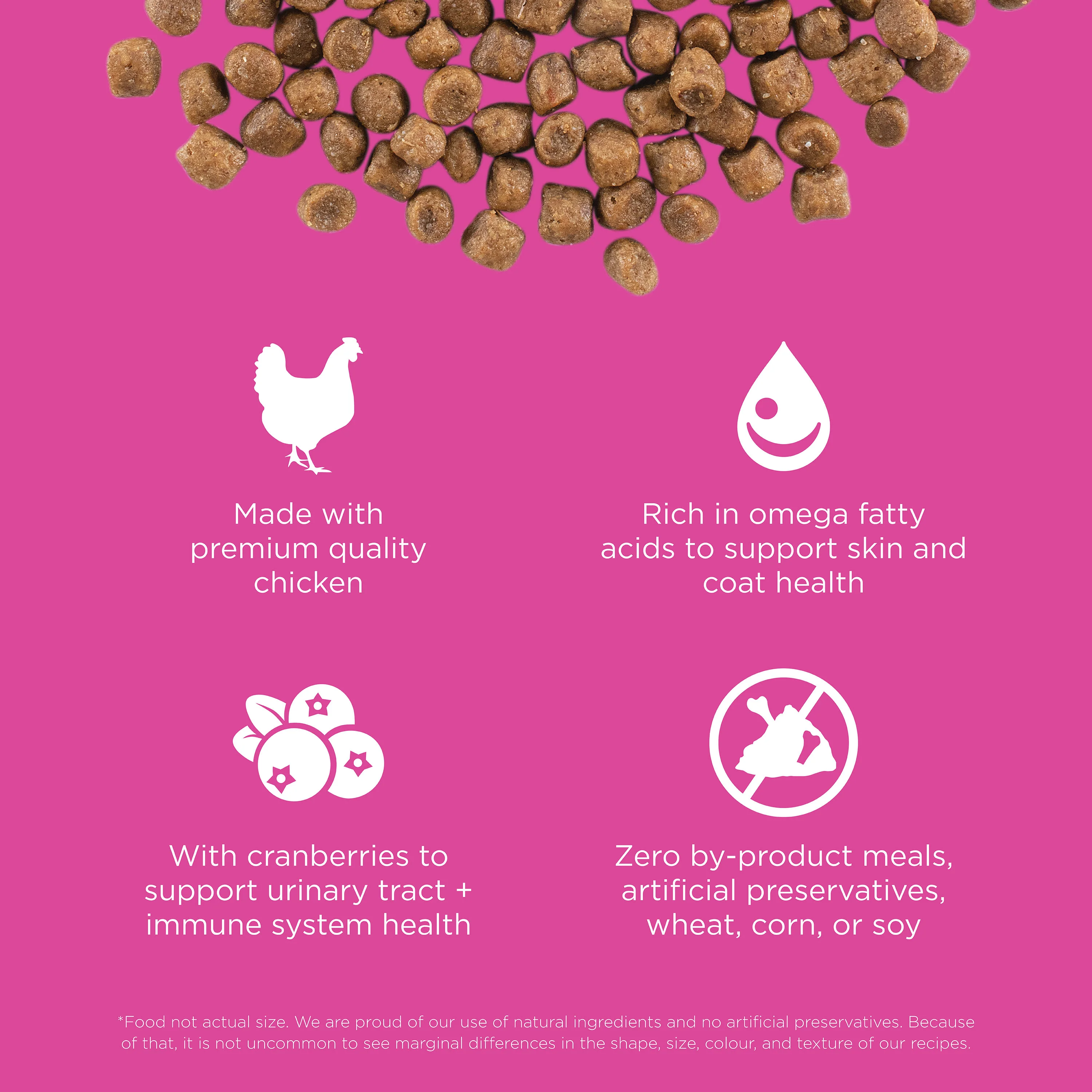 Go! Solutions Skin + Coat Care Chicken Recipe with Grains Dry Cat Food - Image 6
