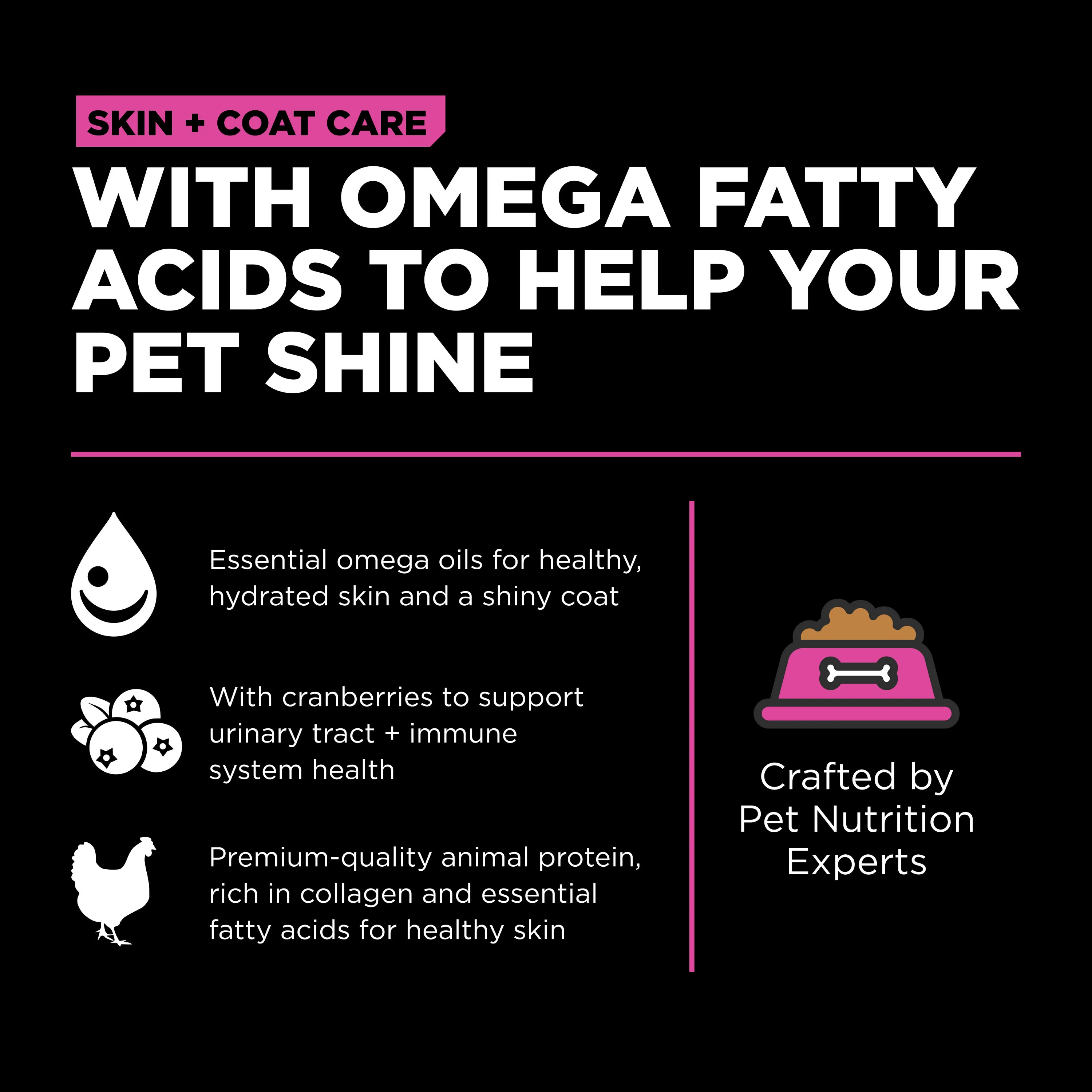 Go! Solutions Skin + Coat Care Chicken Recipe with Grains Dry Cat Food - Image 9