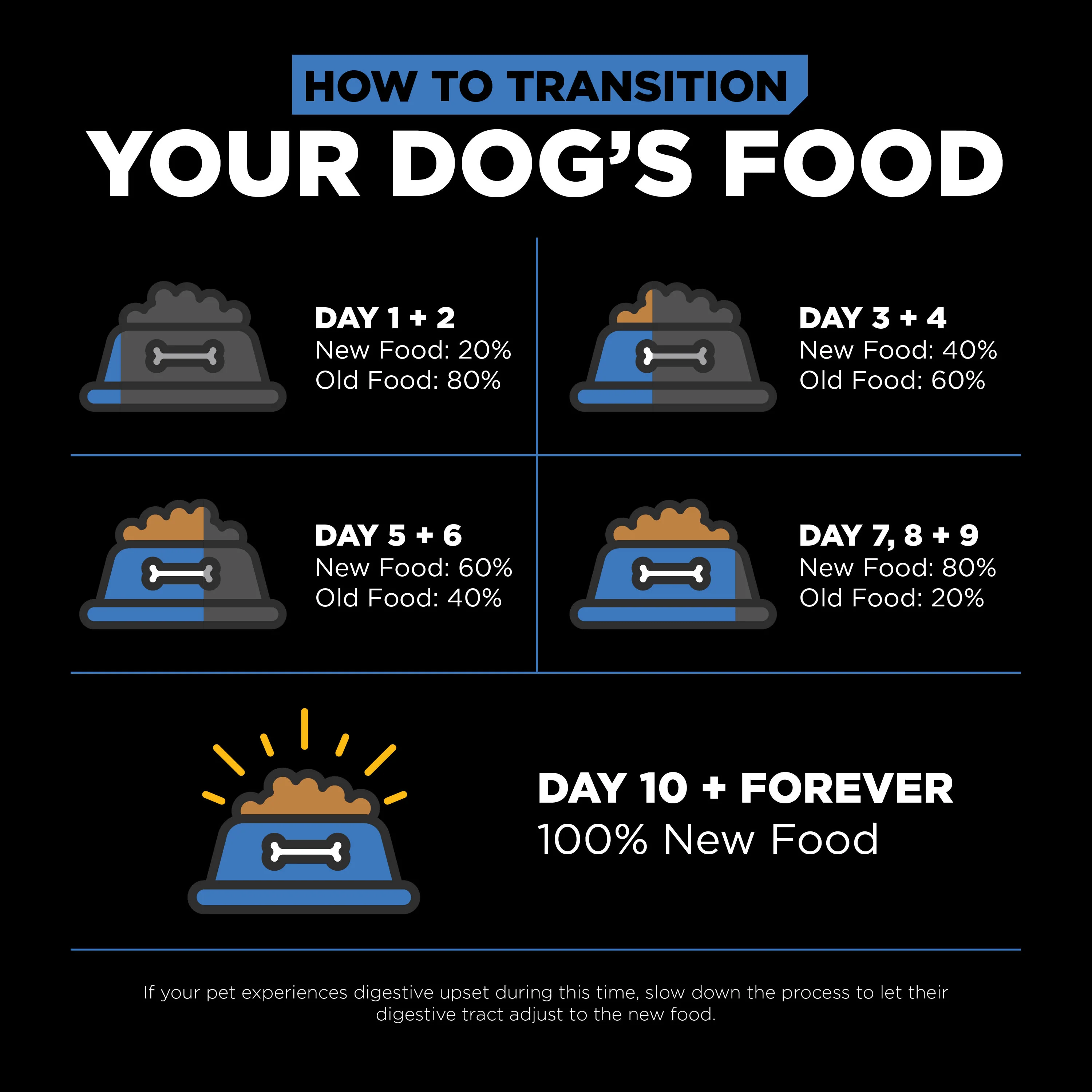 Go! Solutions Skin + Coat Care Chicken Recipe with Grains Dry Dog Food - Image 3