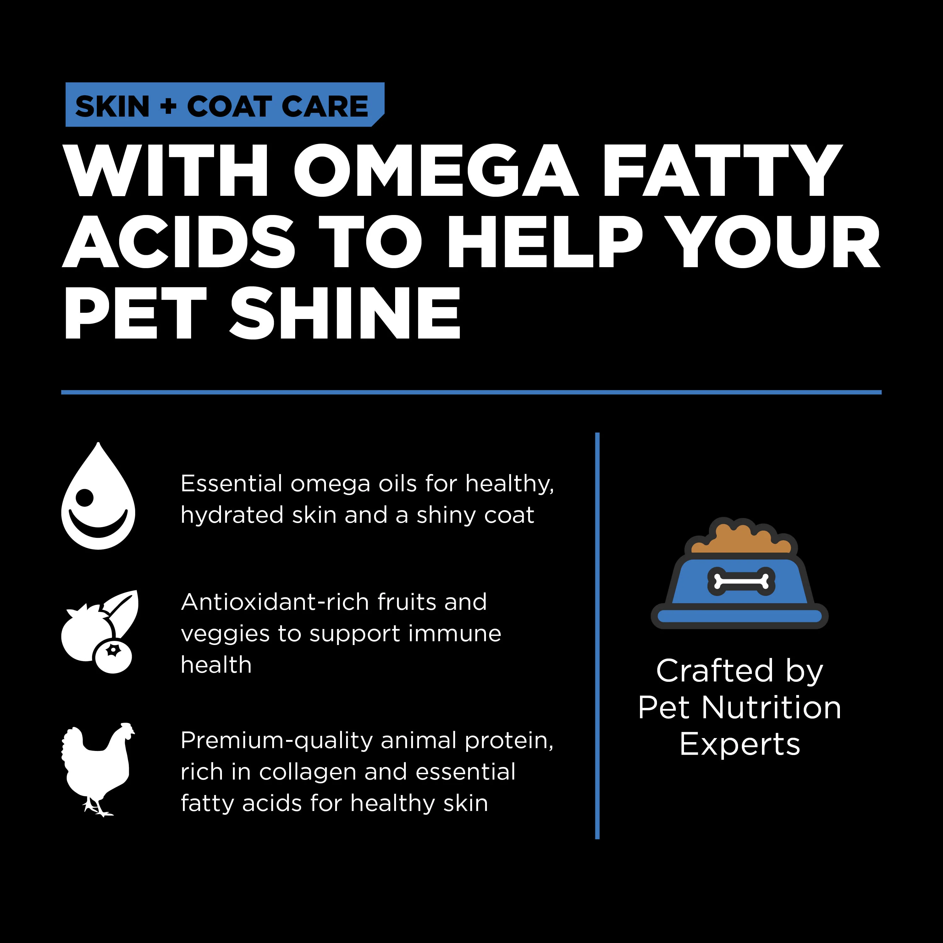Go! Solutions Skin + Coat Care Chicken Recipe with Grains Dry Dog Food - Image 4