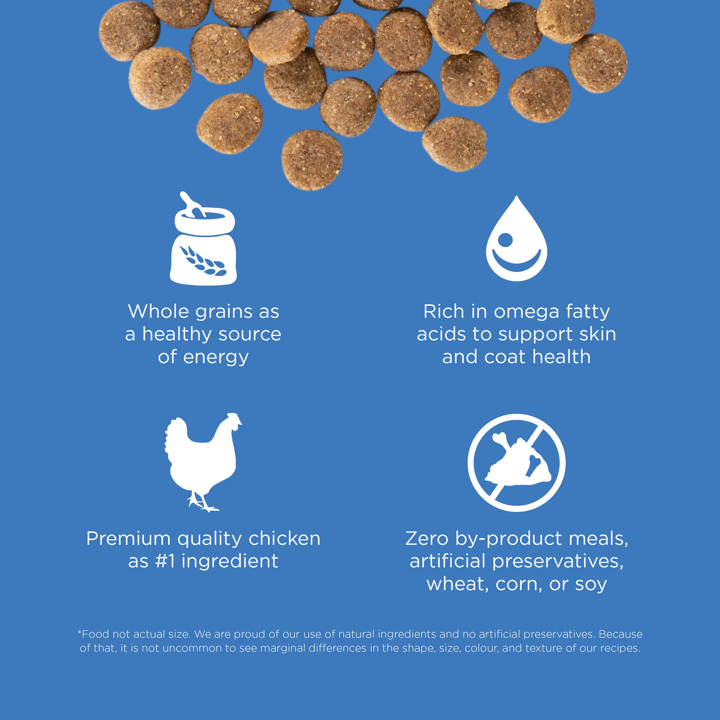 Go! Solutions Skin + Coat Care Chicken Recipe with Grains Dry Dog Food - Image 6