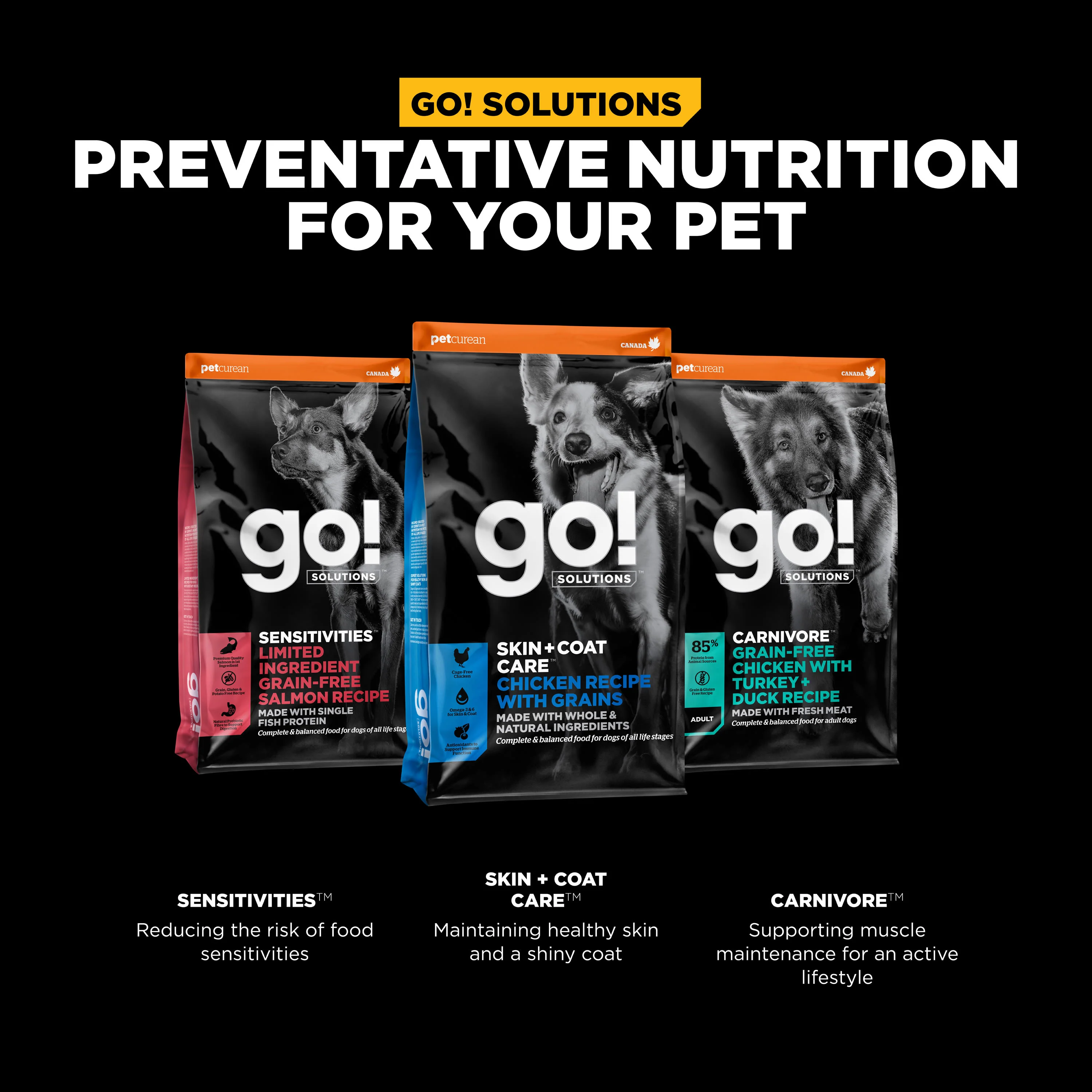 Go! Solutions Skin + Coat Care Chicken Recipe with Grains Dry Dog Food - Image 9
