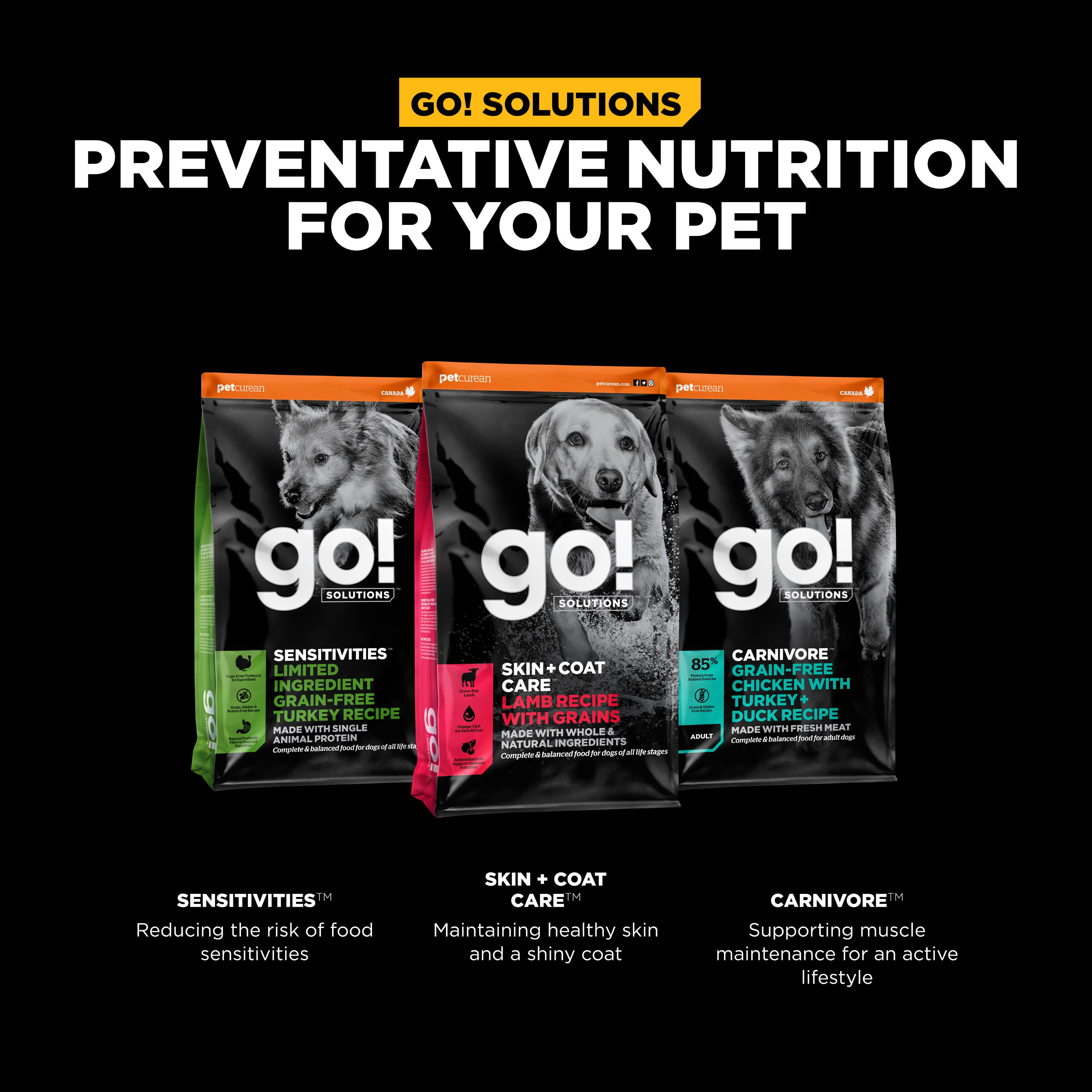 Go! Solutions Skin + Coat Care Lamb Recipe with Grains Dry Dog Food - Image 10