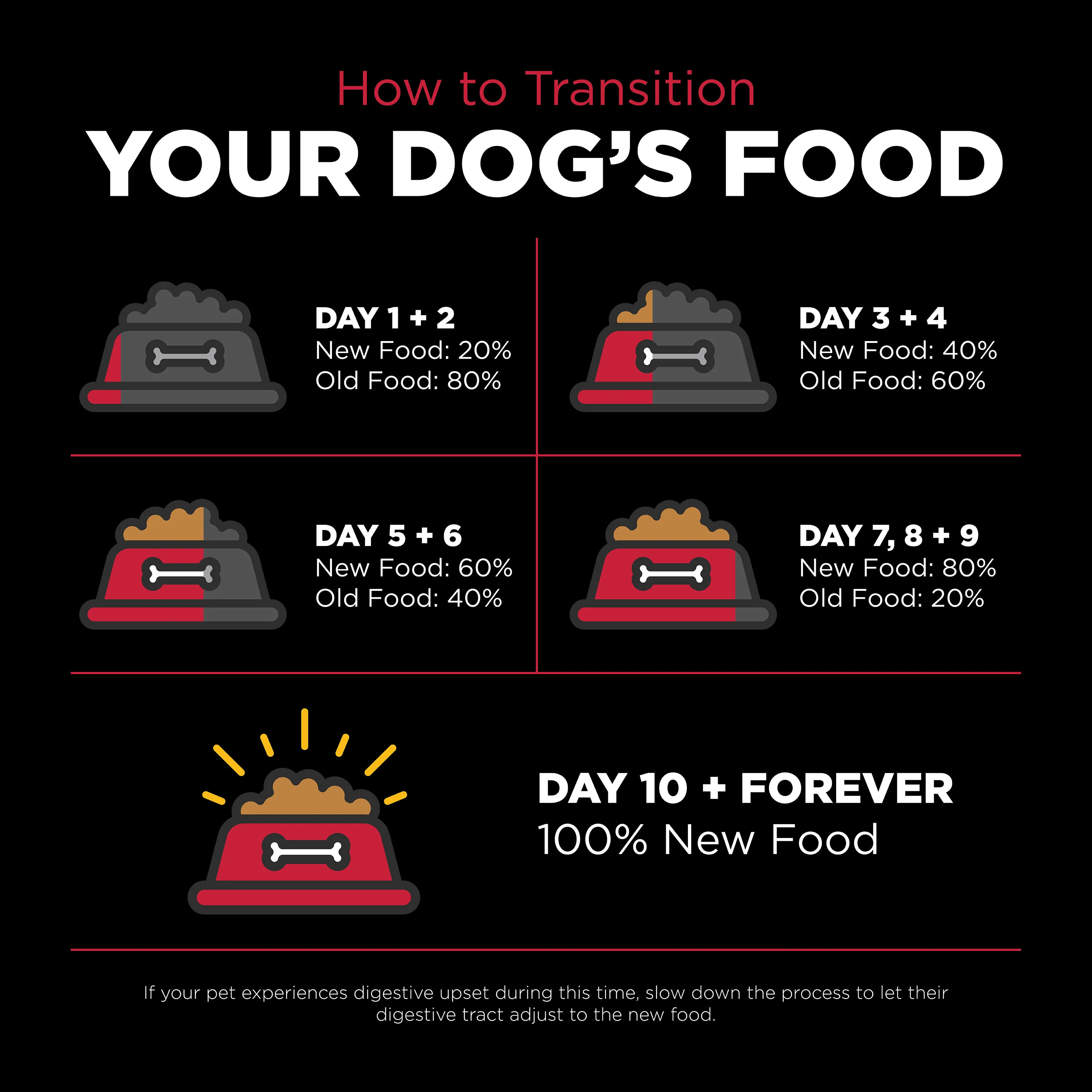 Go! Solutions Skin + Coat Care Lamb Recipe with Grains Dry Dog Food - Image 3