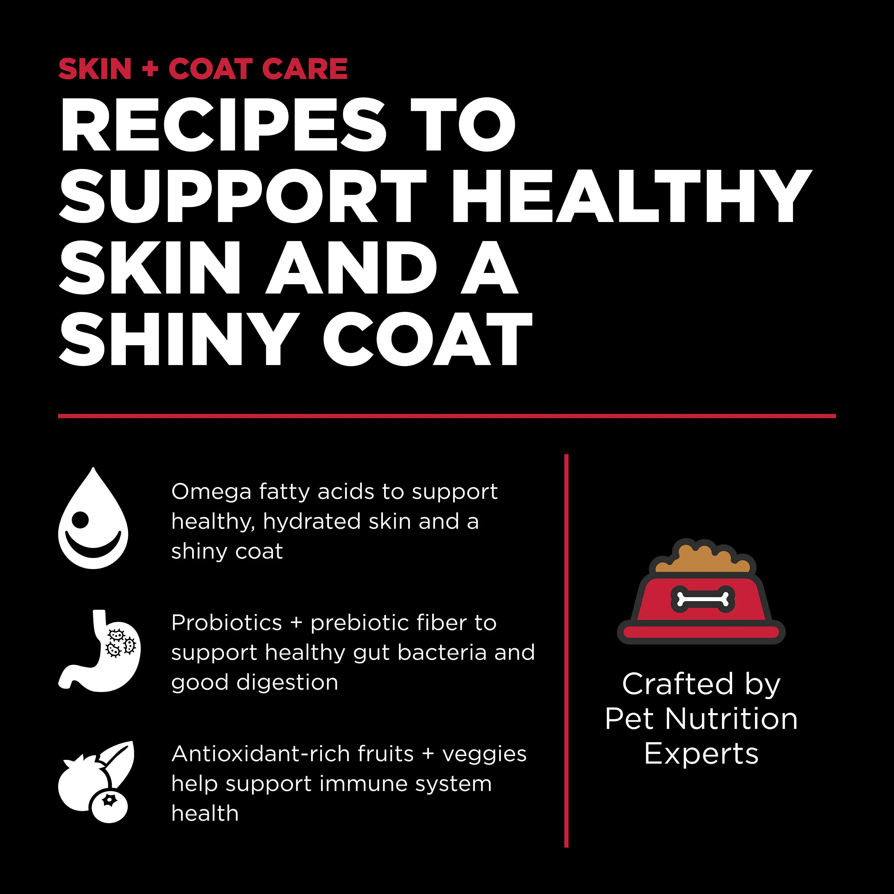 Go! Solutions Skin + Coat Care Lamb Recipe with Grains Dry Dog Food - Image 4