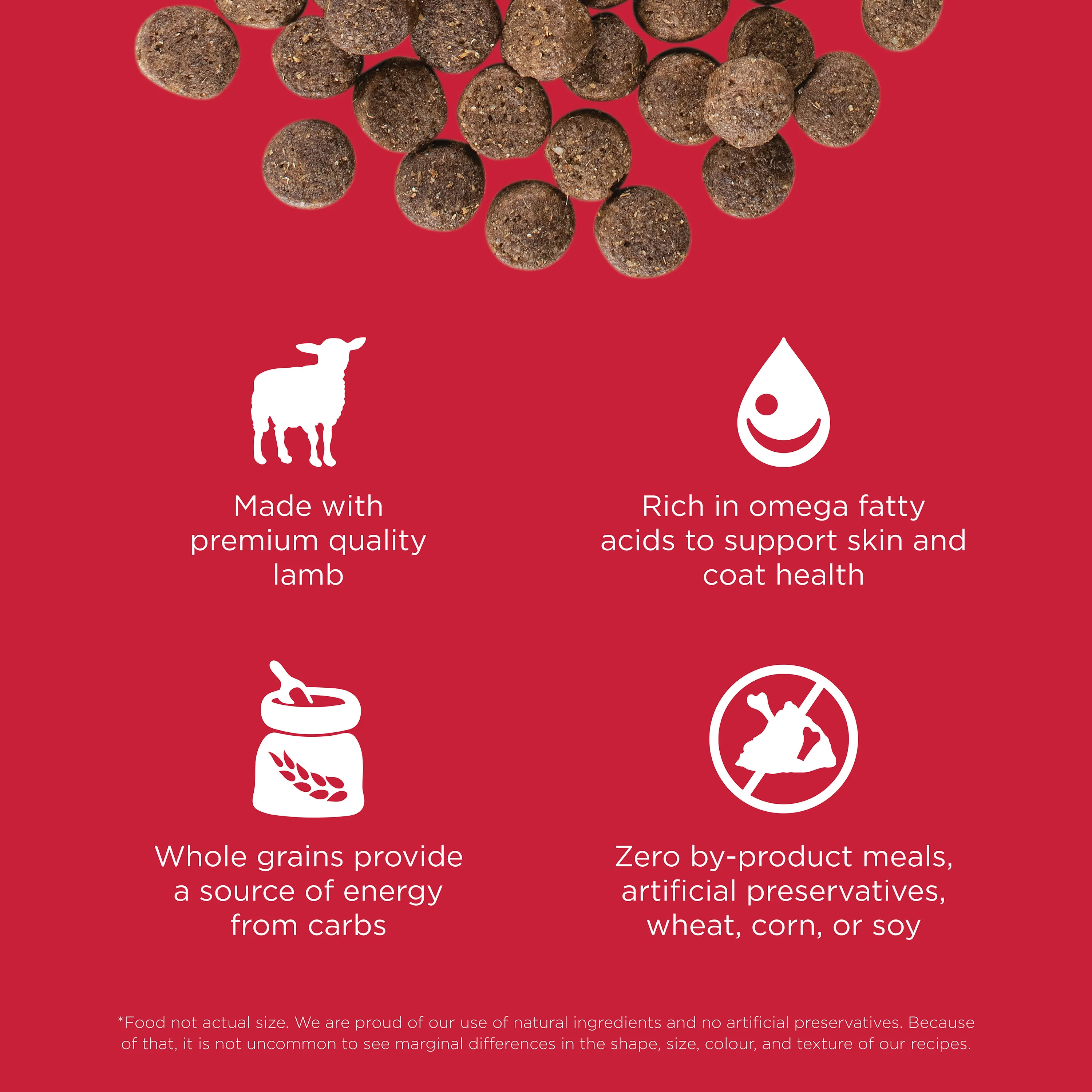 Go! Solutions Skin + Coat Care Lamb Recipe with Grains Dry Dog Food - Image 6