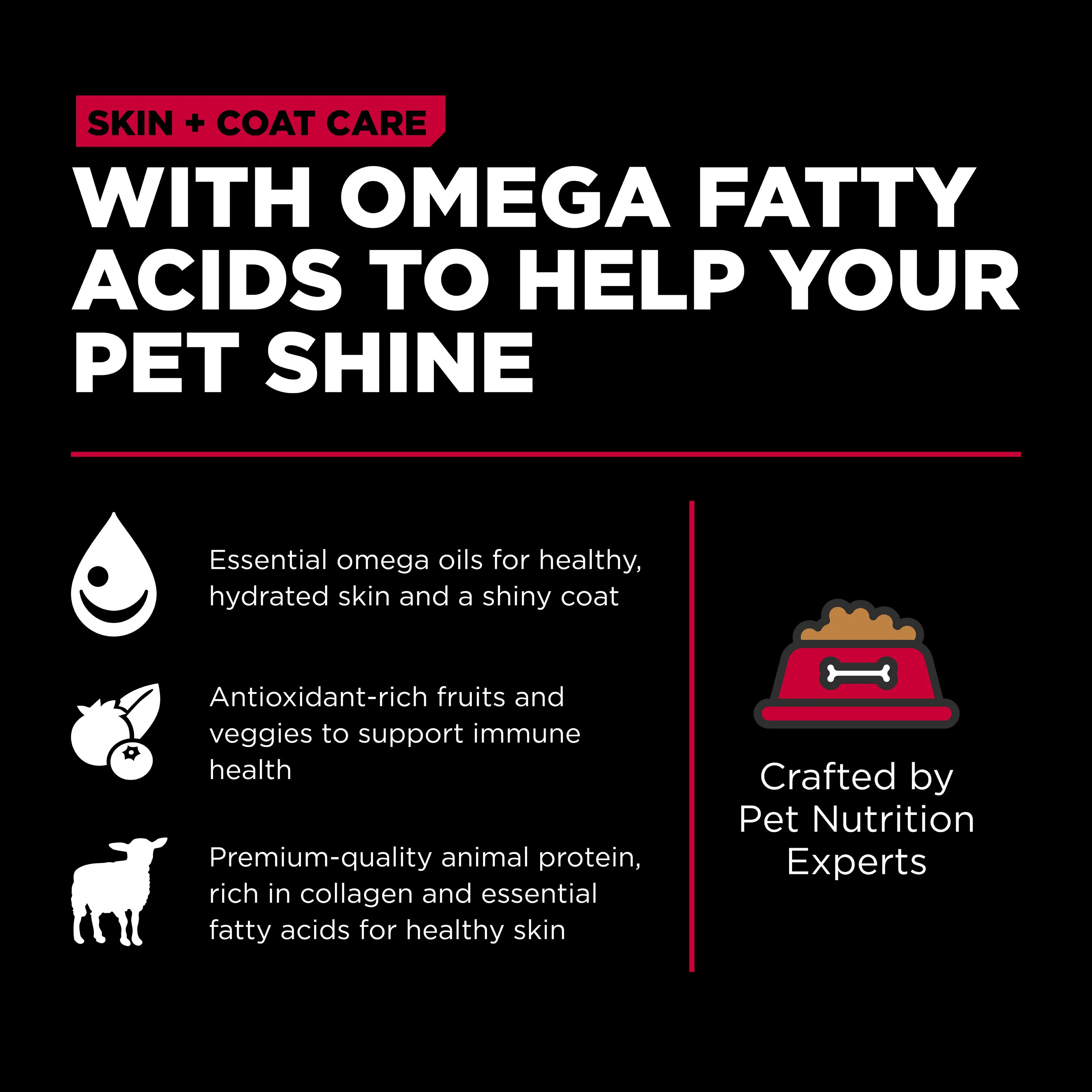Go! Solutions Skin + Coat Care Lamb Recipe with Grains Dry Dog Food - Image 9