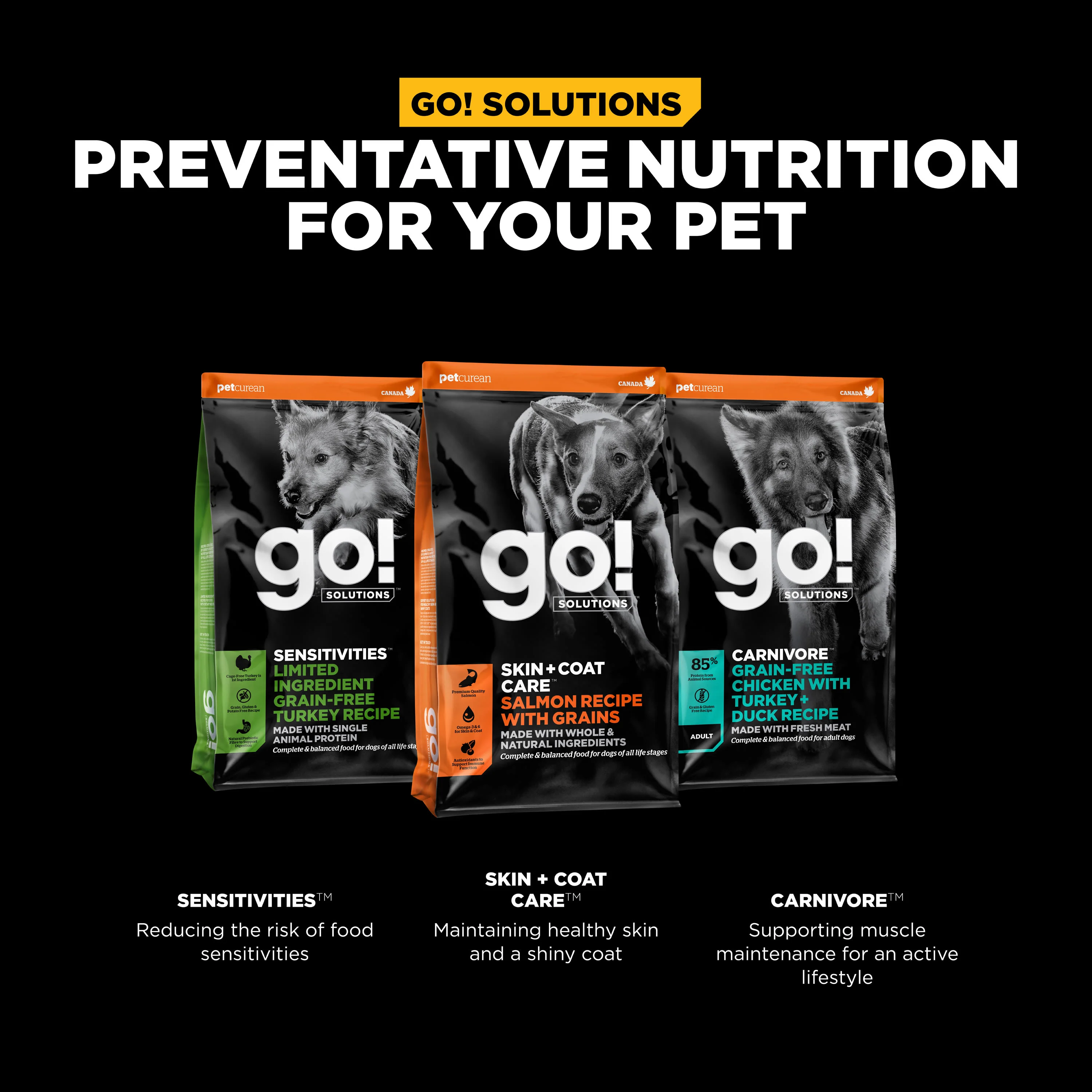 Go! Solutions Skin + Coat Care Salmon Recipe with Grains Dry Dog Food - Image 10