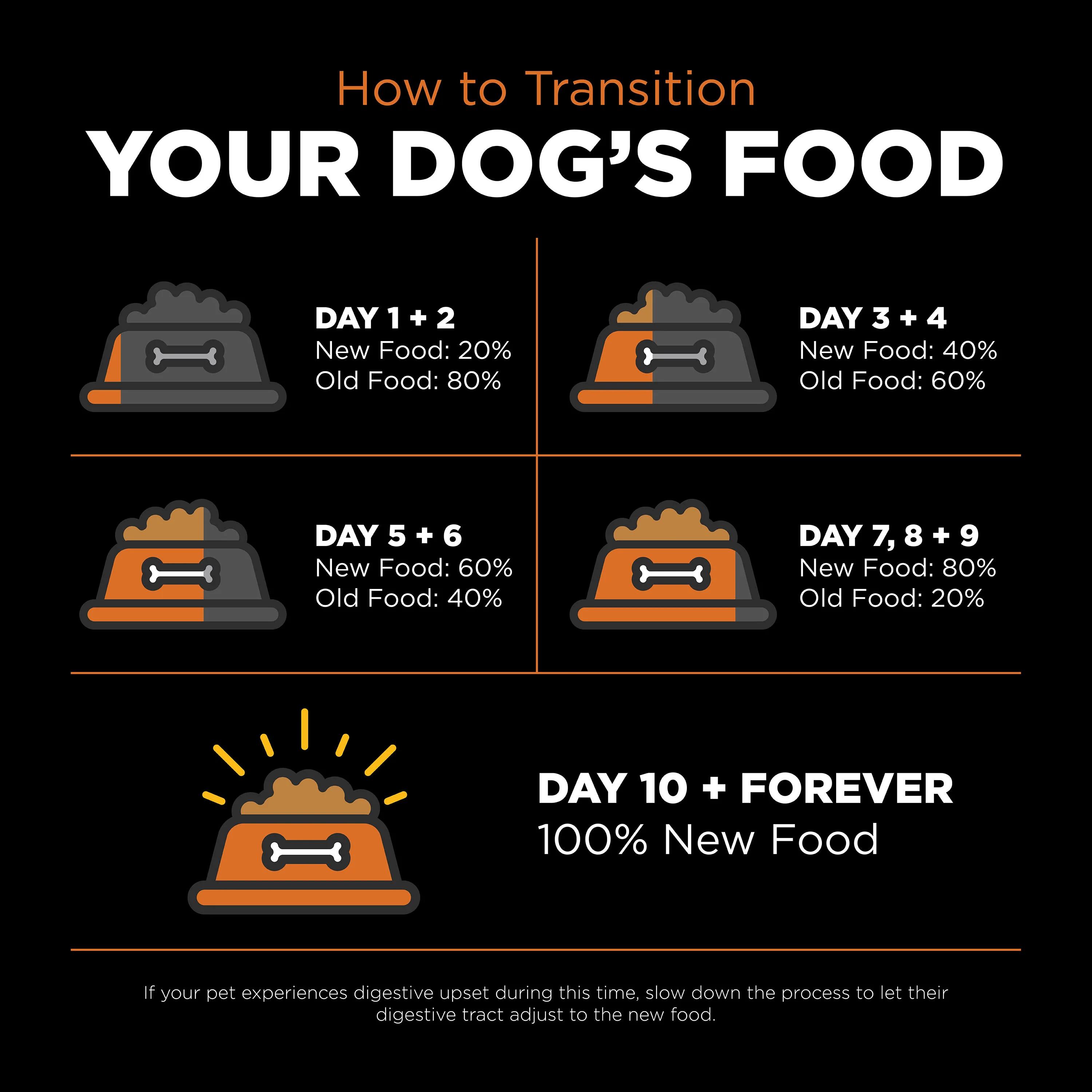 Go! Solutions Skin + Coat Care Salmon Recipe with Grains Dry Dog Food - Image 3
