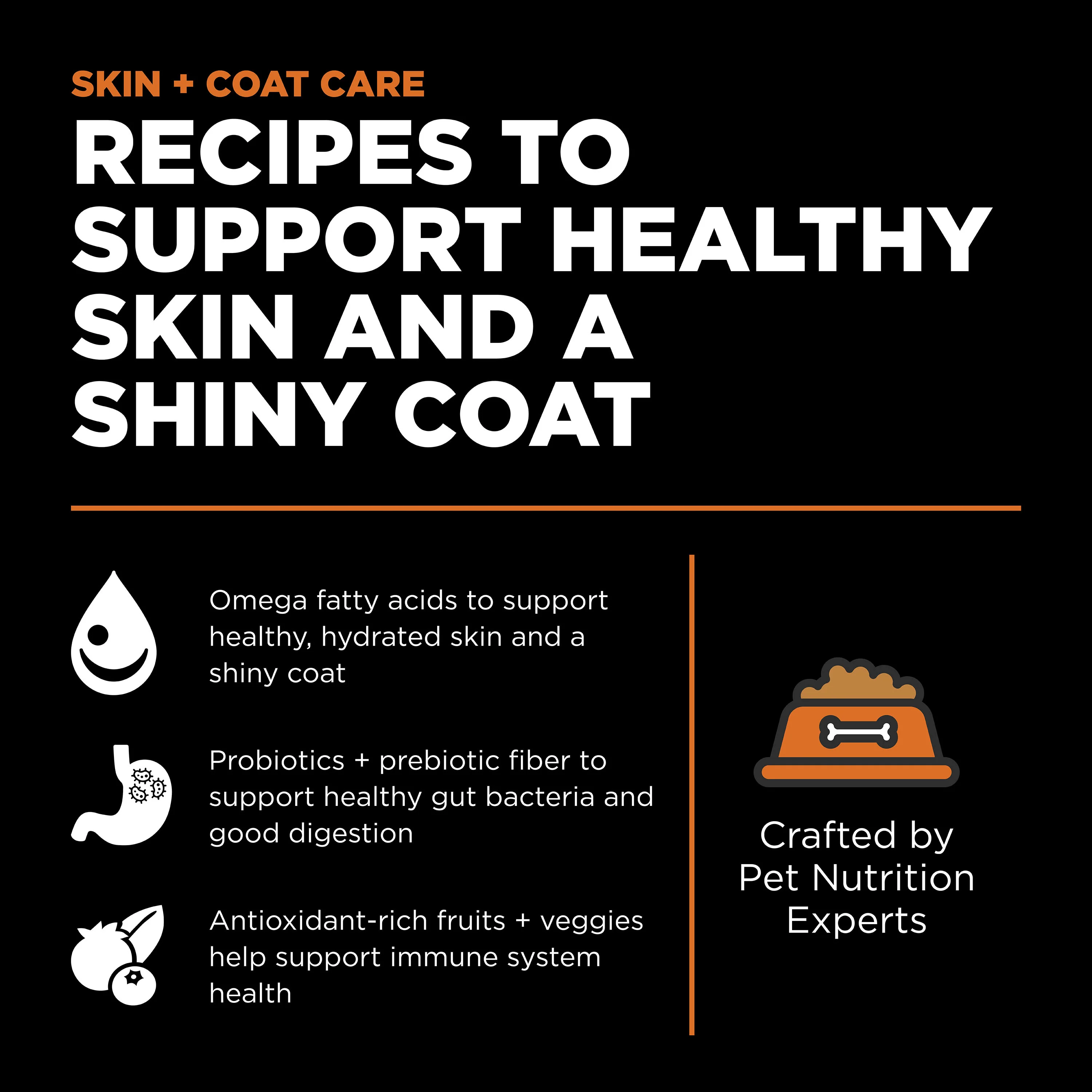 Go! Solutions Skin + Coat Care Salmon Recipe with Grains Dry Dog Food - Image 4