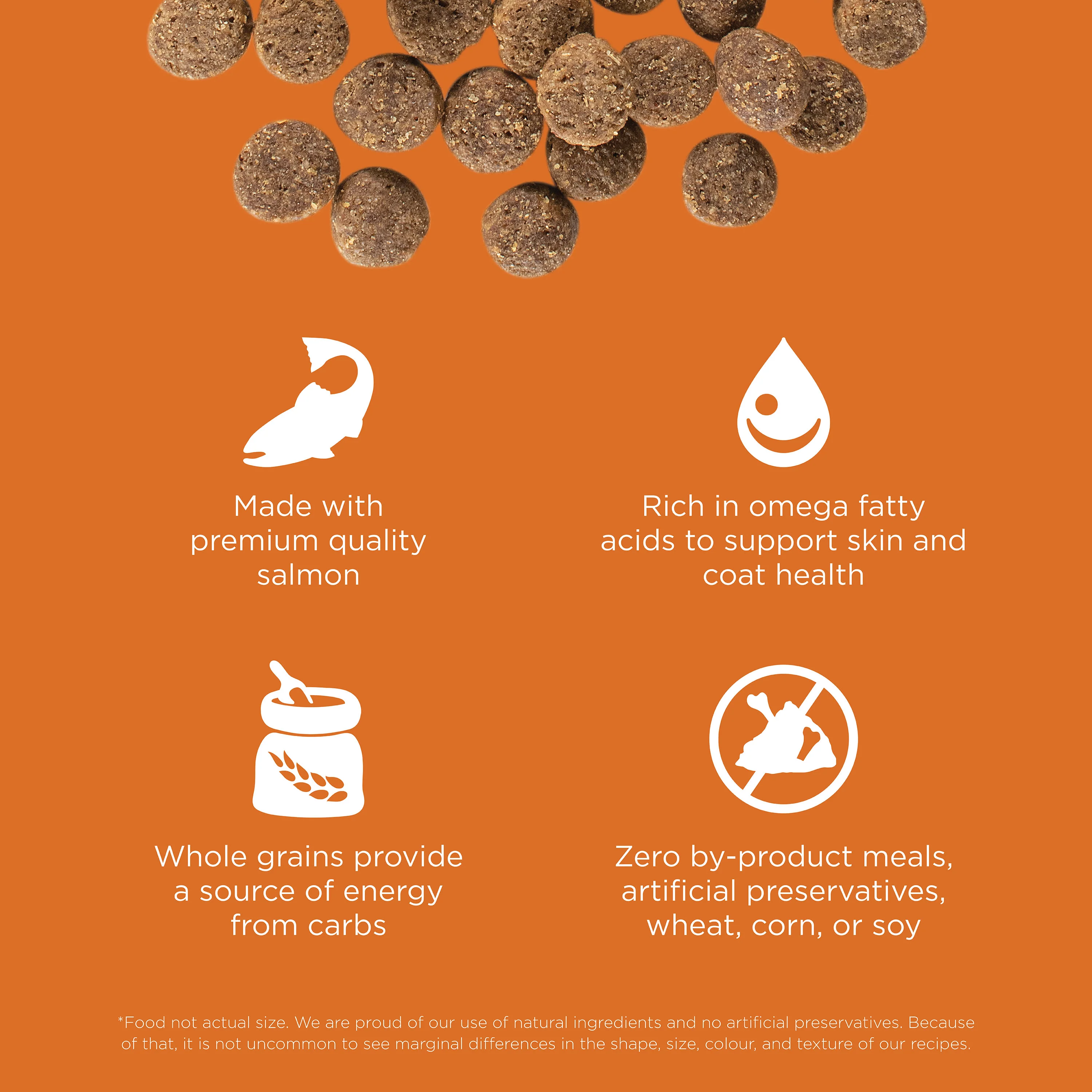 Go! Solutions Skin + Coat Care Salmon Recipe with Grains Dry Dog Food - Image 6