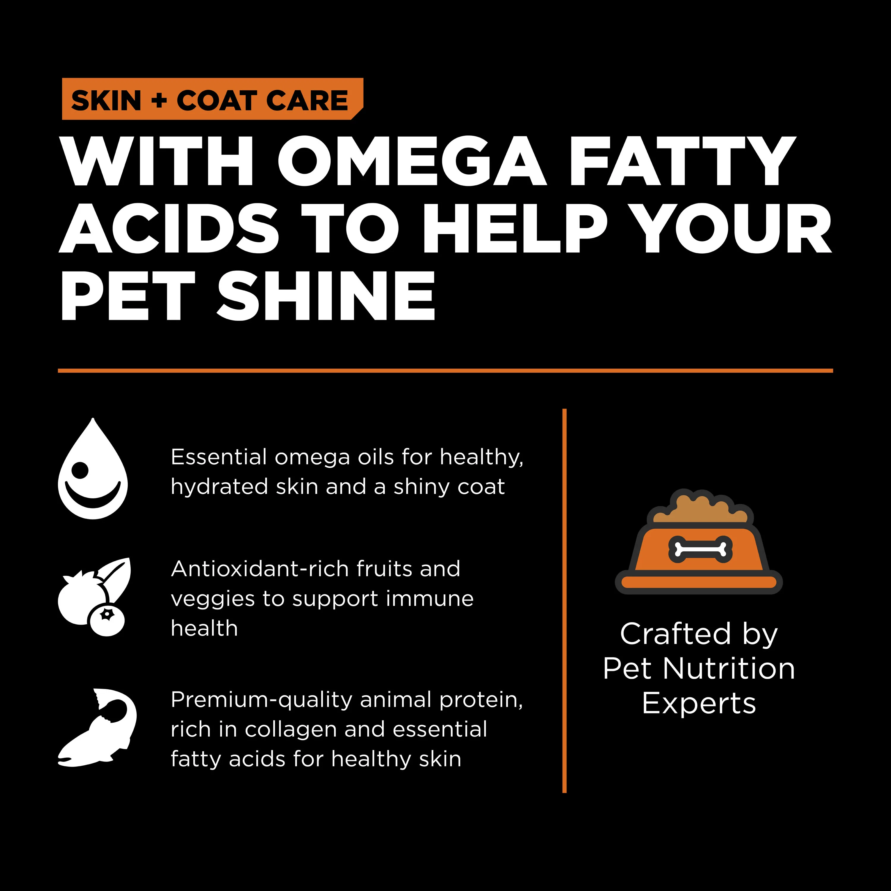 Go! Solutions Skin + Coat Care Salmon Recipe with Grains Dry Dog Food - Image 9