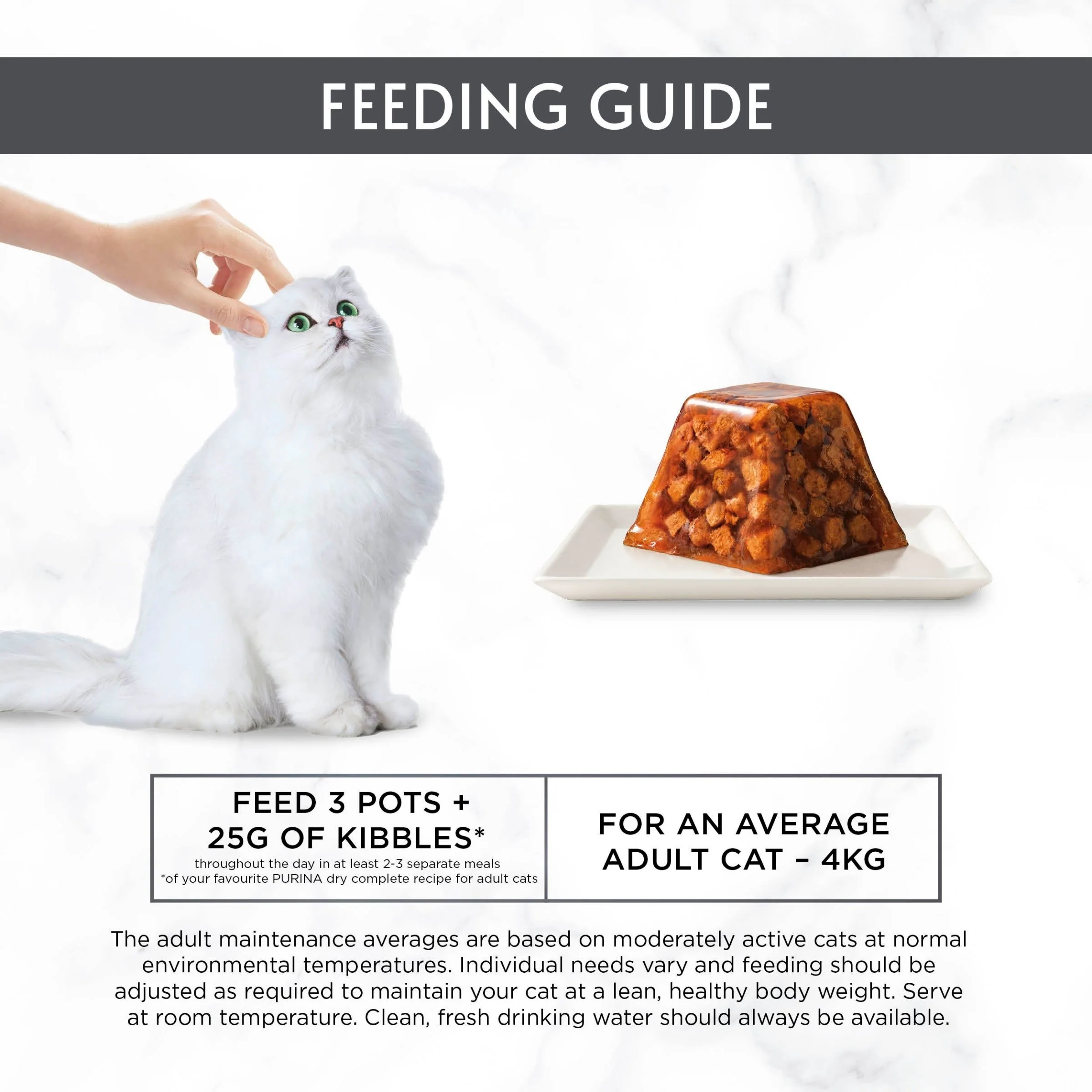 Gourmet Revelations Gelee Chicken in Jelly Wet Cat Food 4 x 57g - Image 6