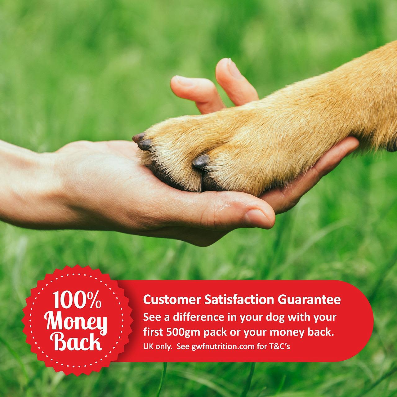 Gro-Well Feeds Joint Aid for Dog - Image 5