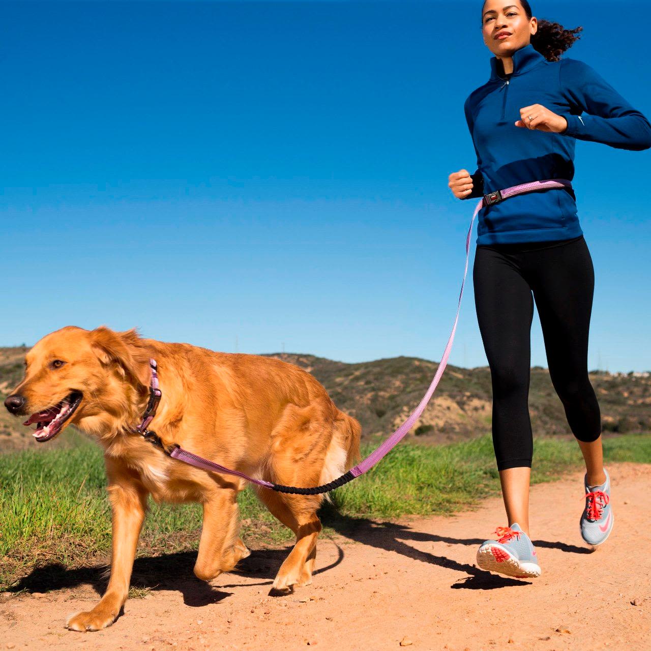 Halti All-In-One Black Dog Lead - Image 3