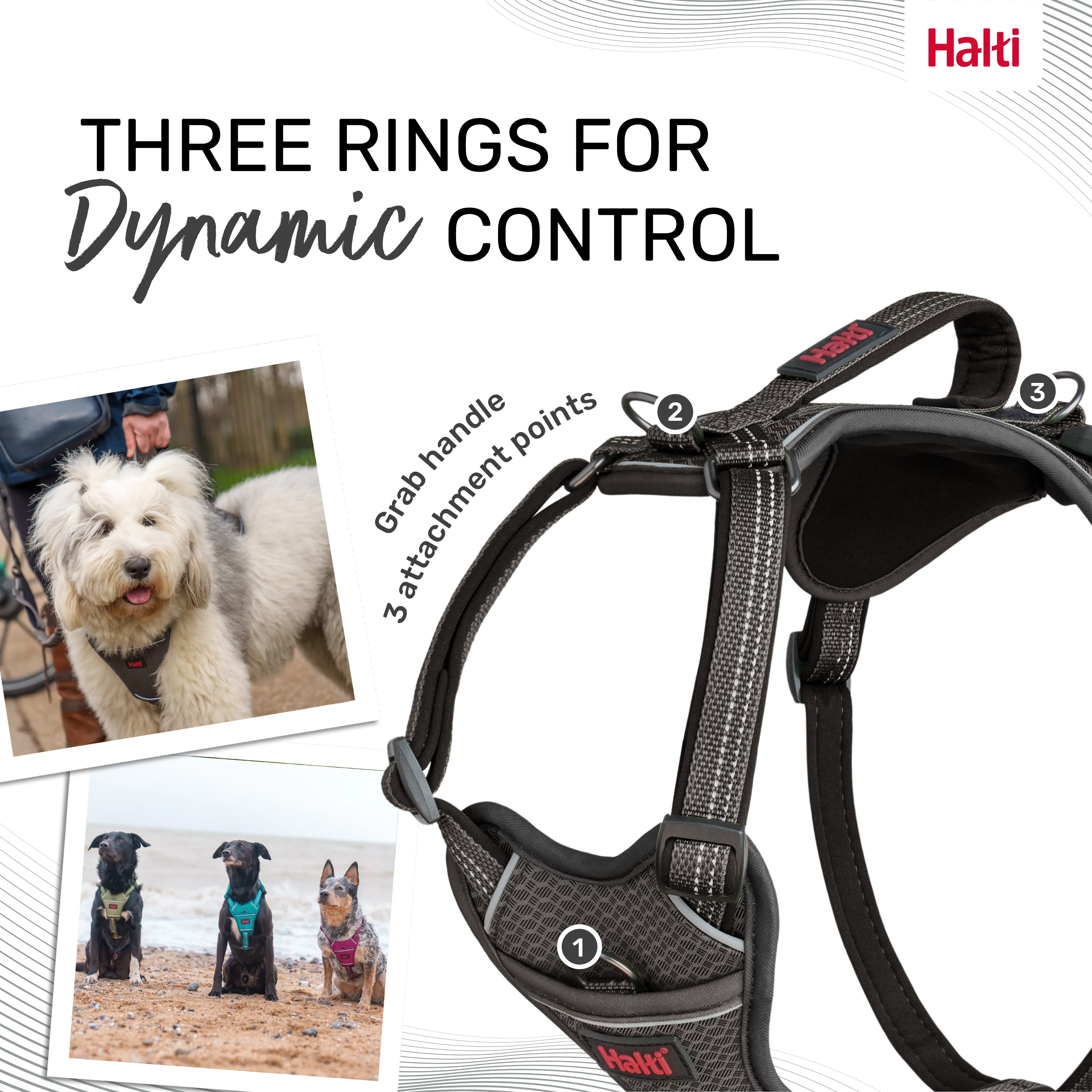 Halti Anatomy Dog Harness - Grey - Image 3