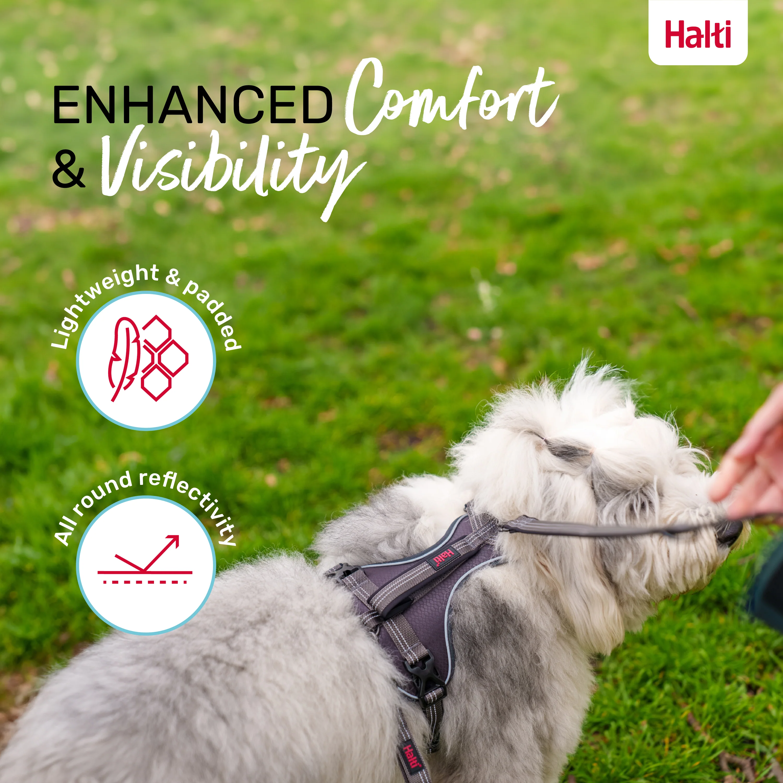 Halti Anatomy Dog Harness - Grey - Image 4