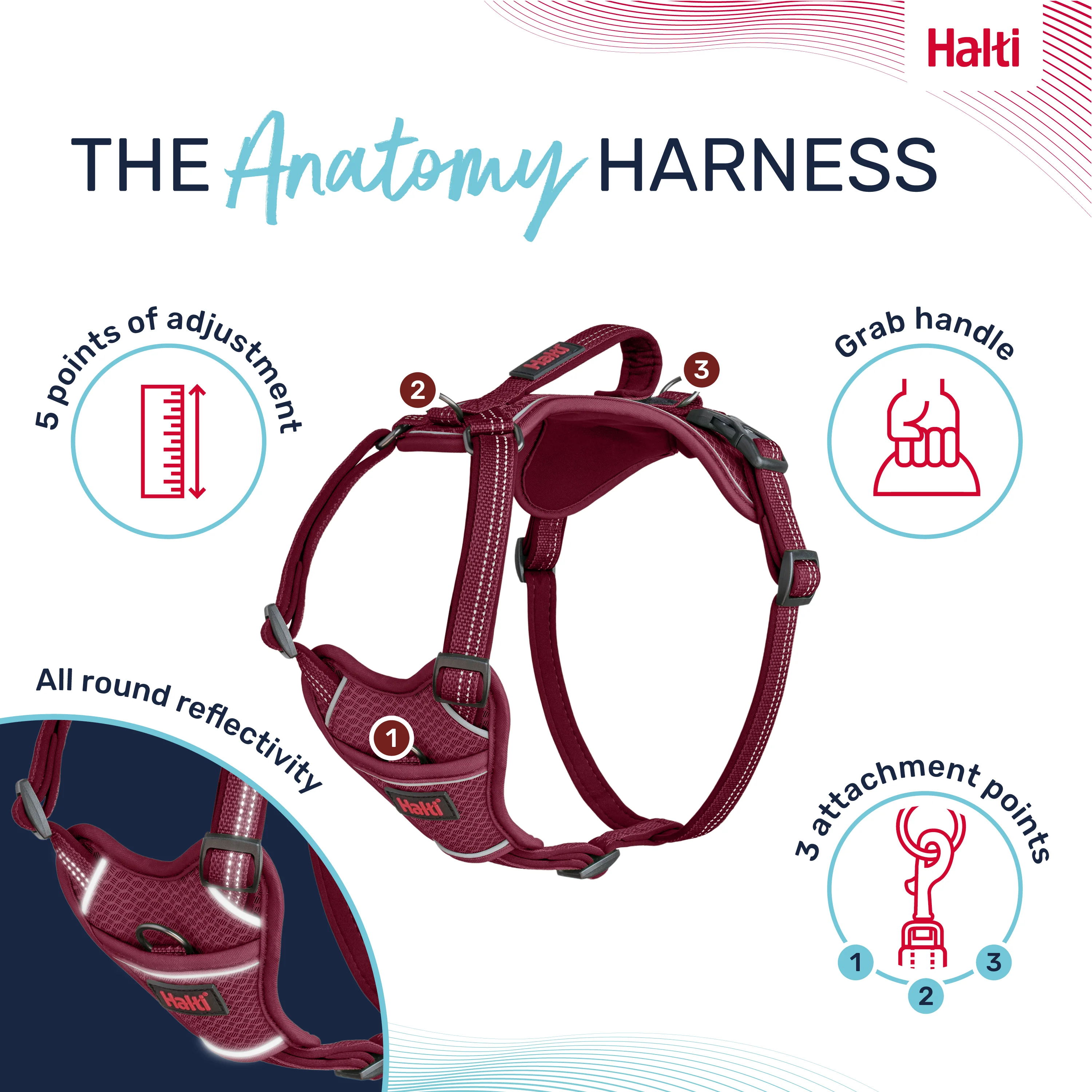 Halti Anatomy Dog Harness - Magenta - Image 2