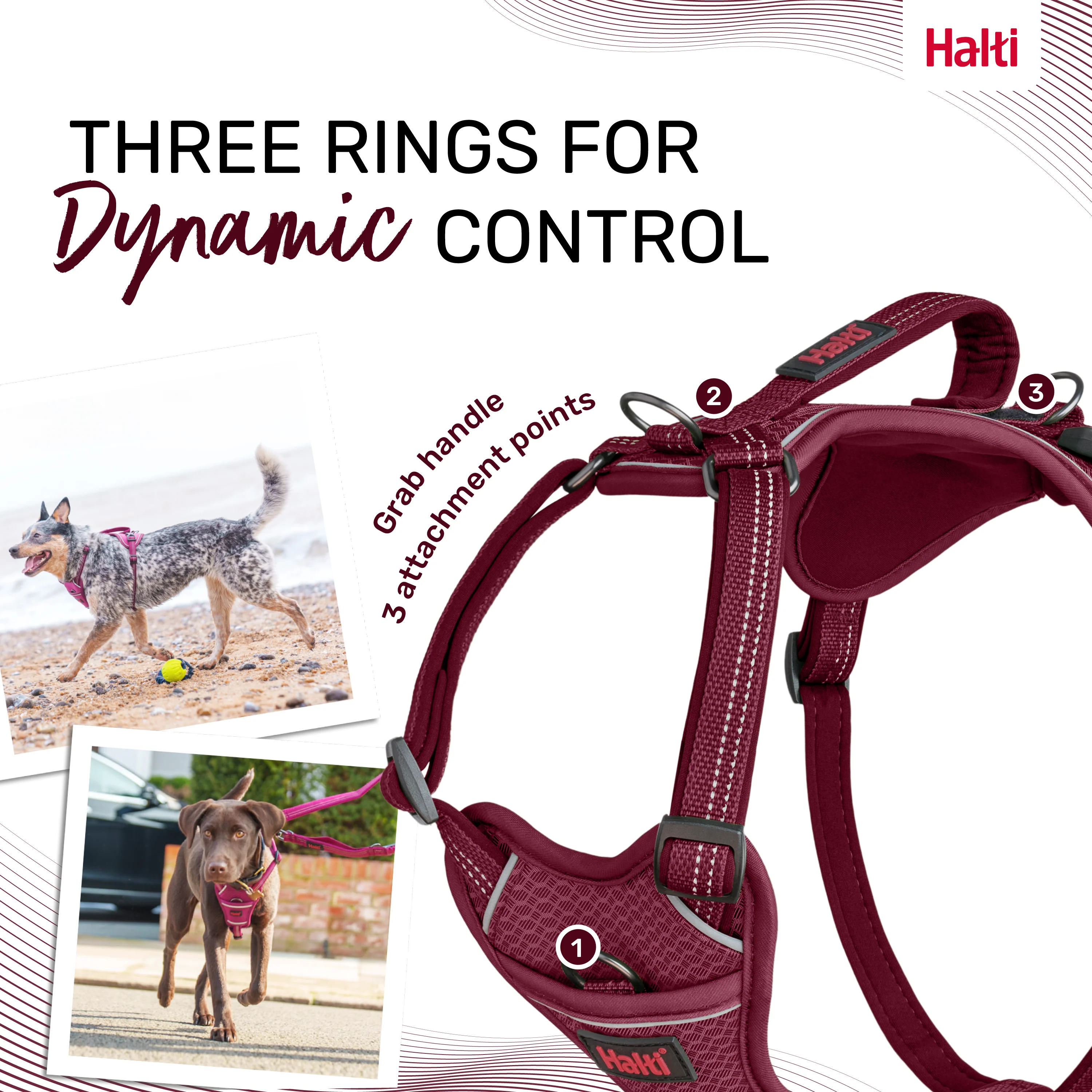 Halti Anatomy Dog Harness - Magenta - Image 3