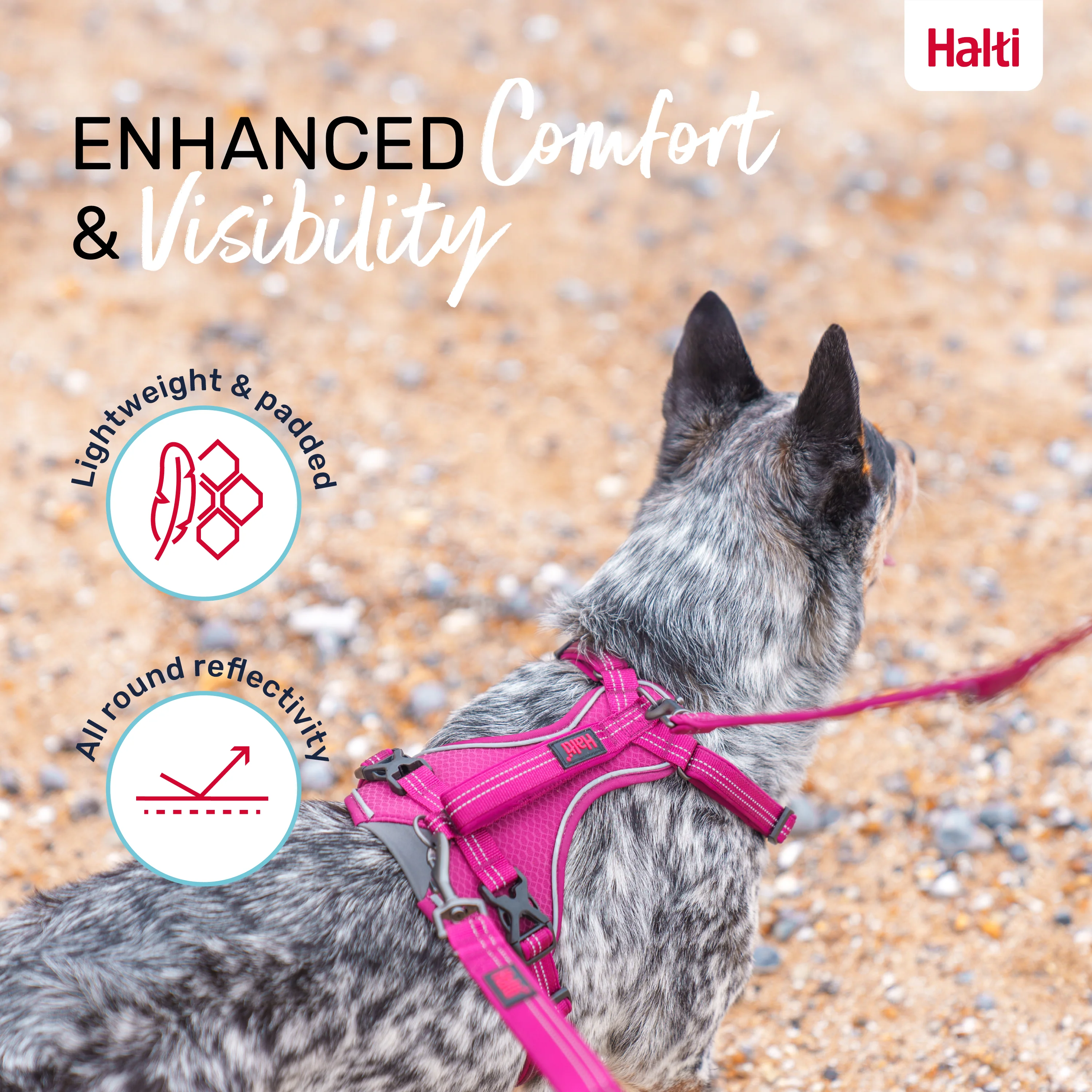 Halti Anatomy Dog Harness - Magenta - Image 4